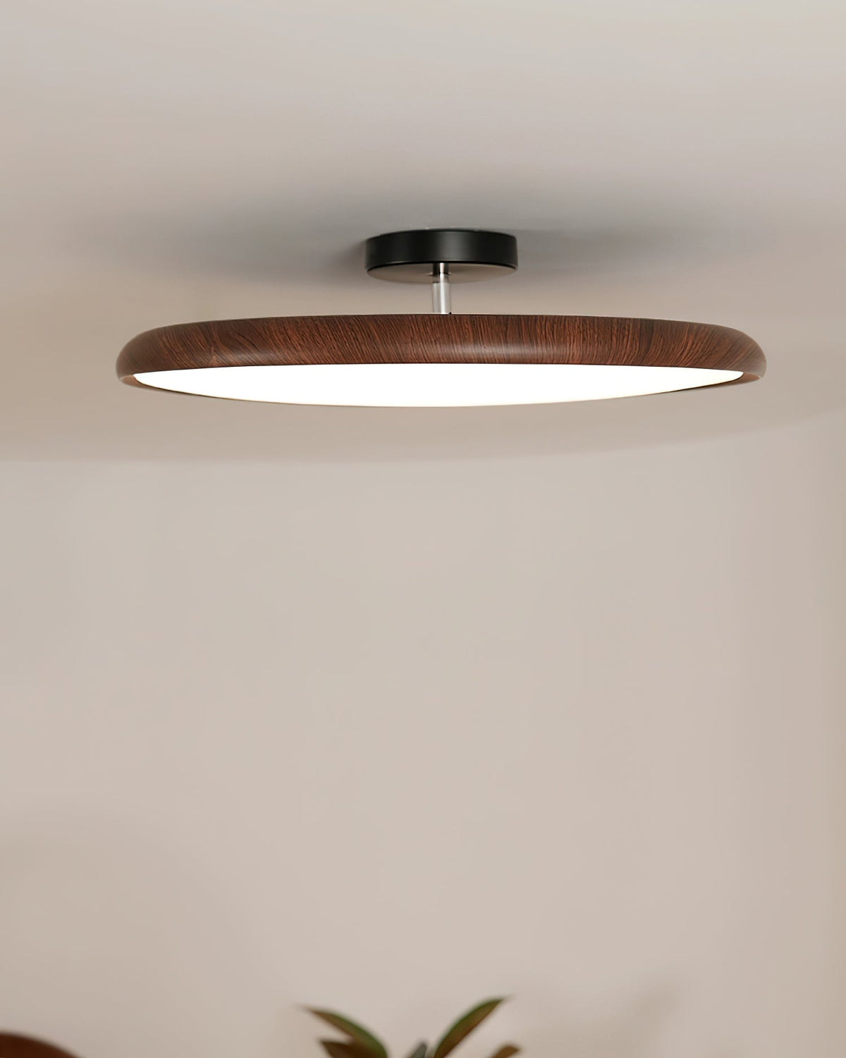 Dibu Ceiling Light