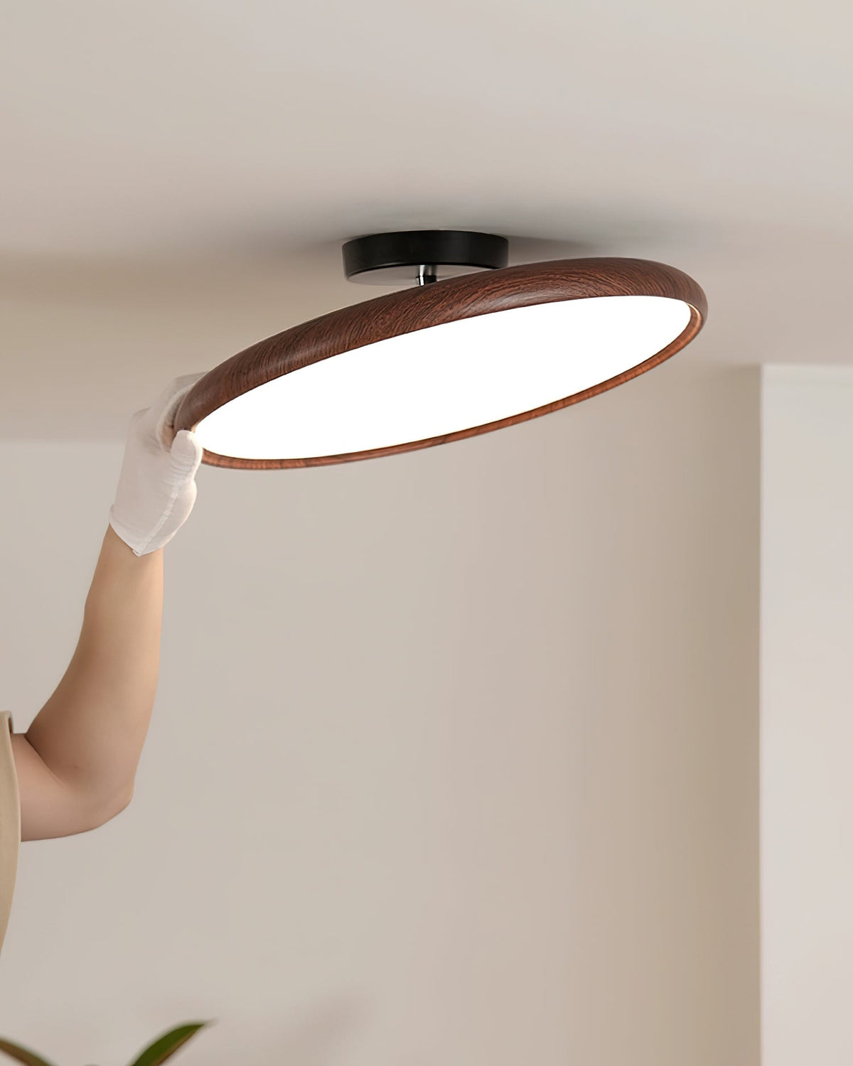 Dibu Ceiling Light