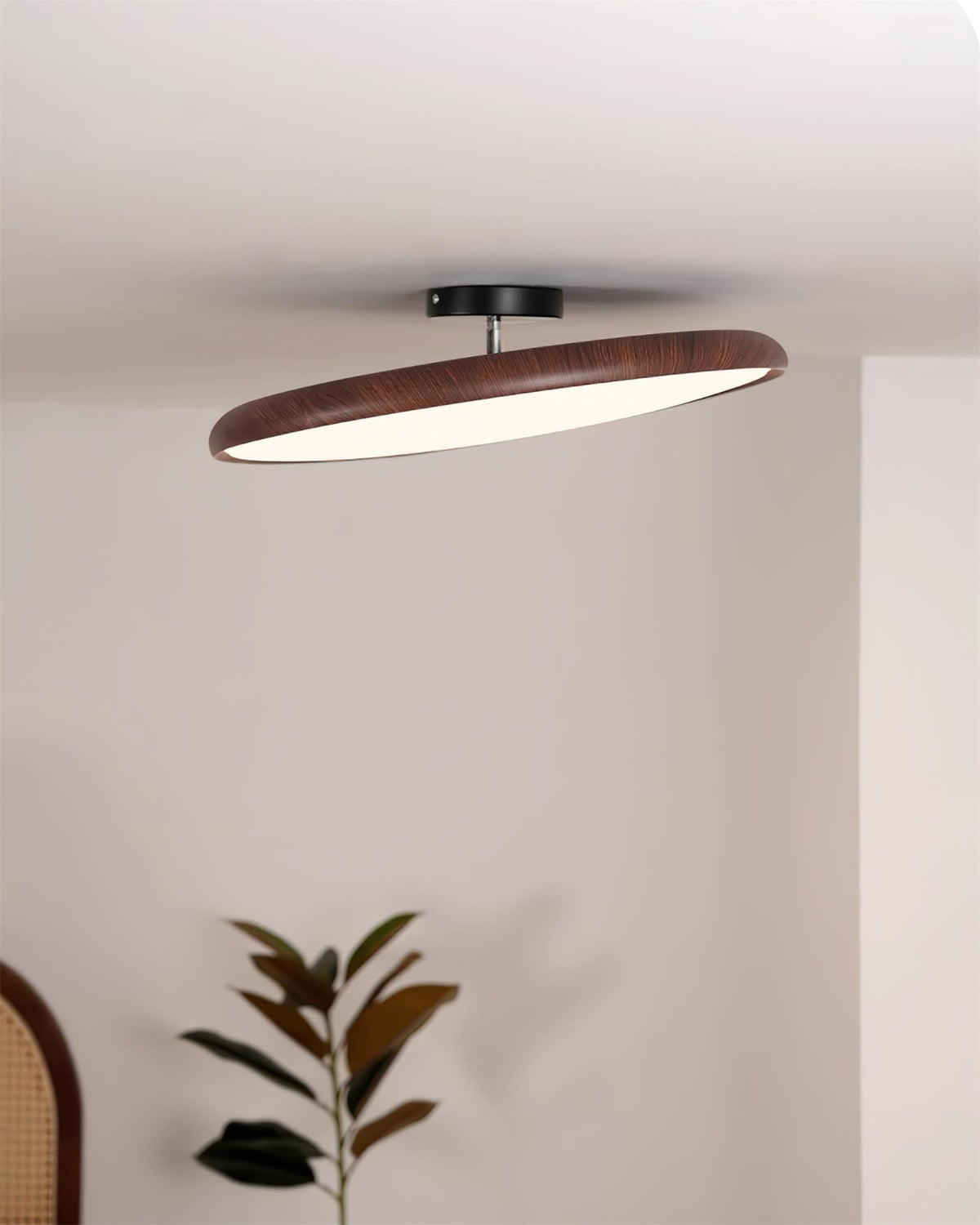 Dibu Ceiling Light