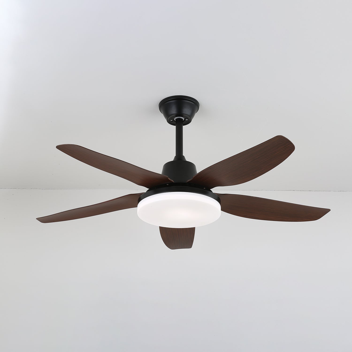 Baliva Ceiling Fan Light