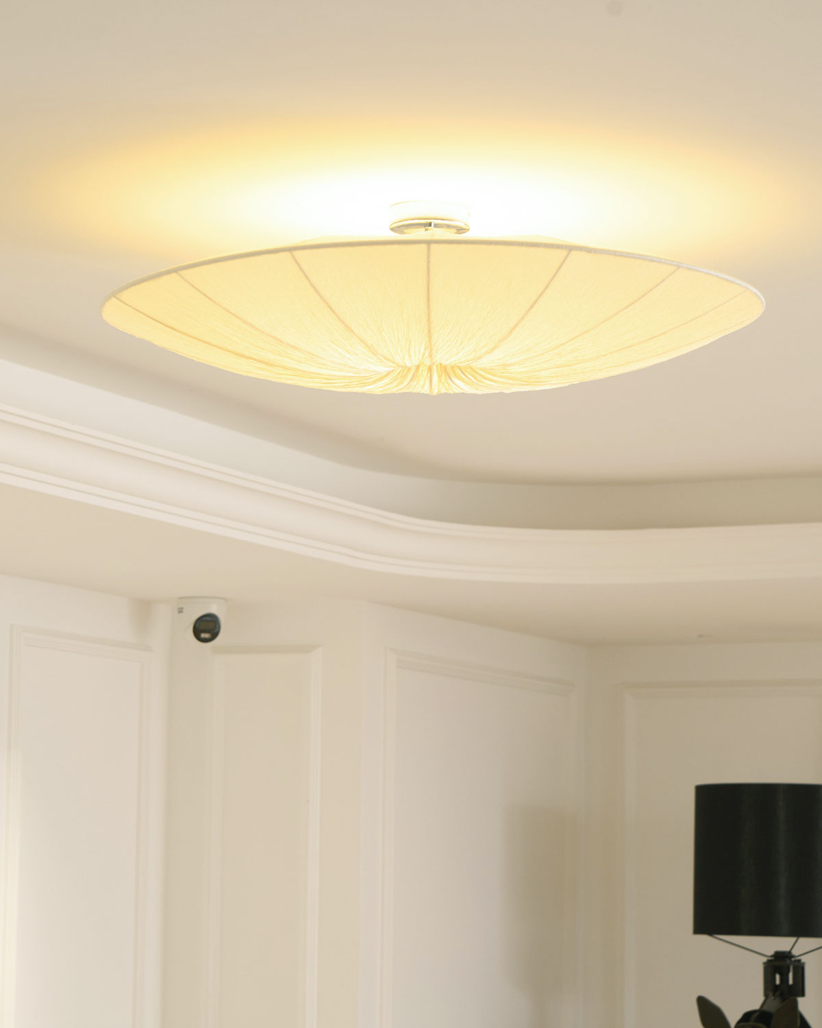 Olarza Tassel Ceiling Light