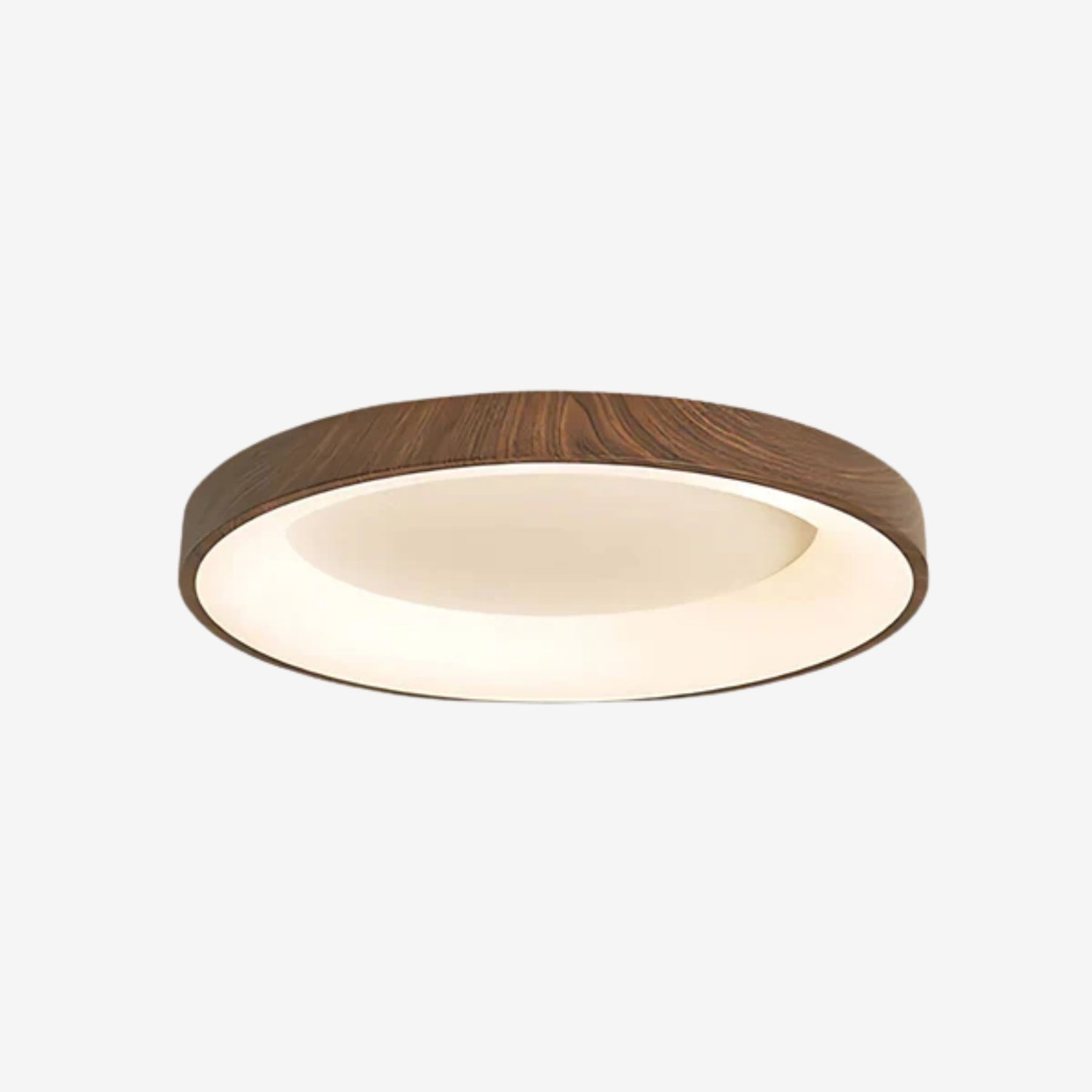 Olenera Ceiling Light