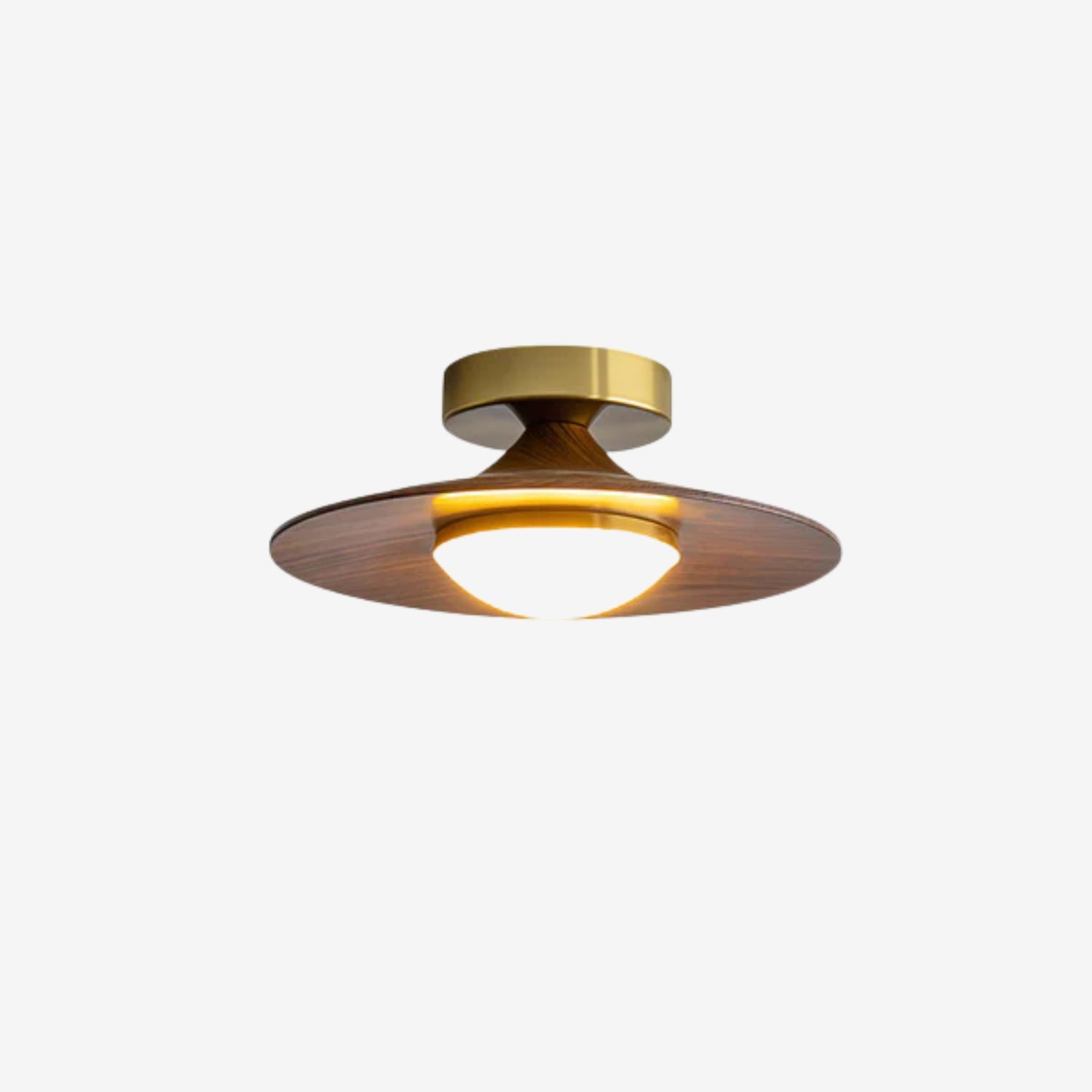 Olanon Round Ceiling Light