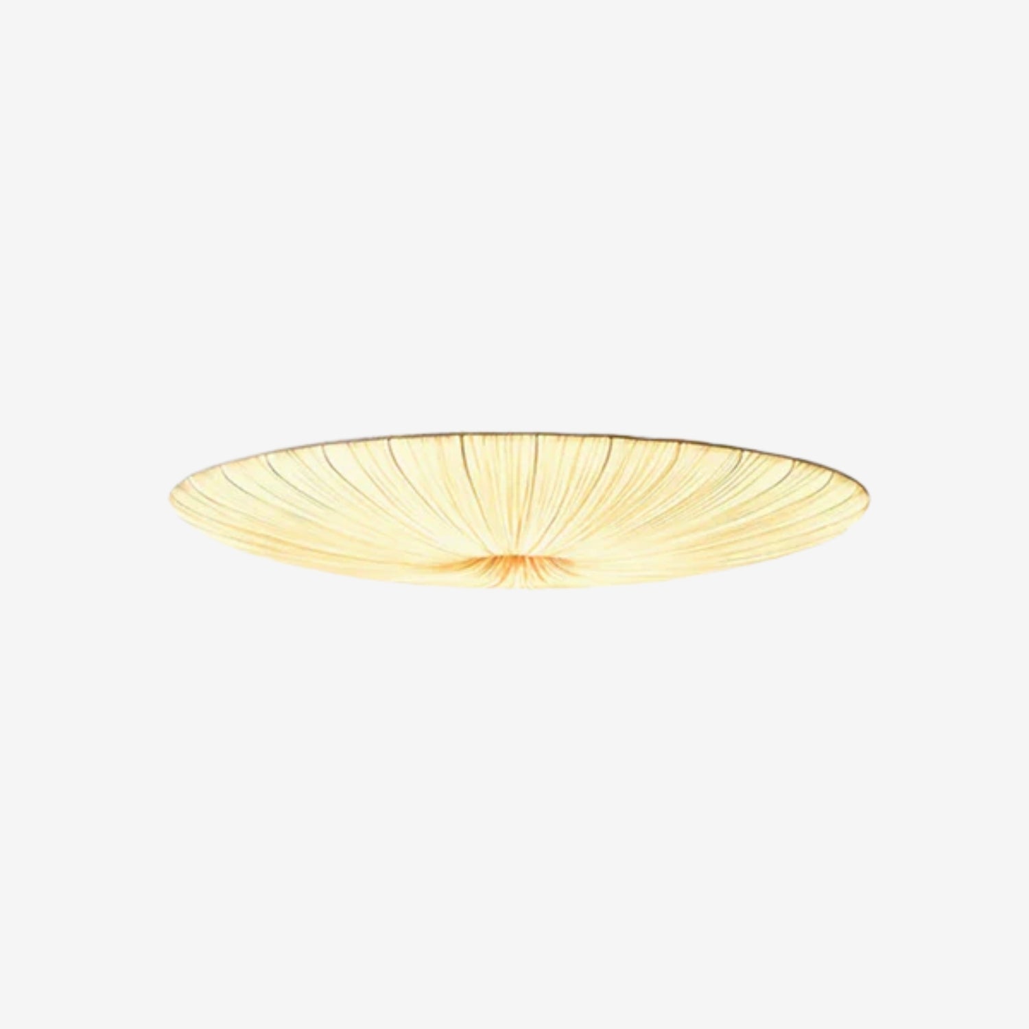 Olarza Tassel Ceiling Light