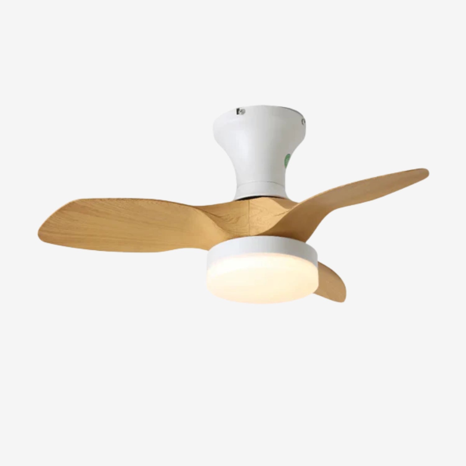 Avolin Ceiling Fan Light