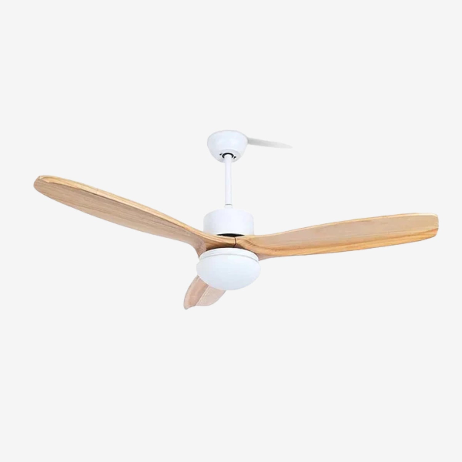 Avolano Outdoor Ceiling Fan Light