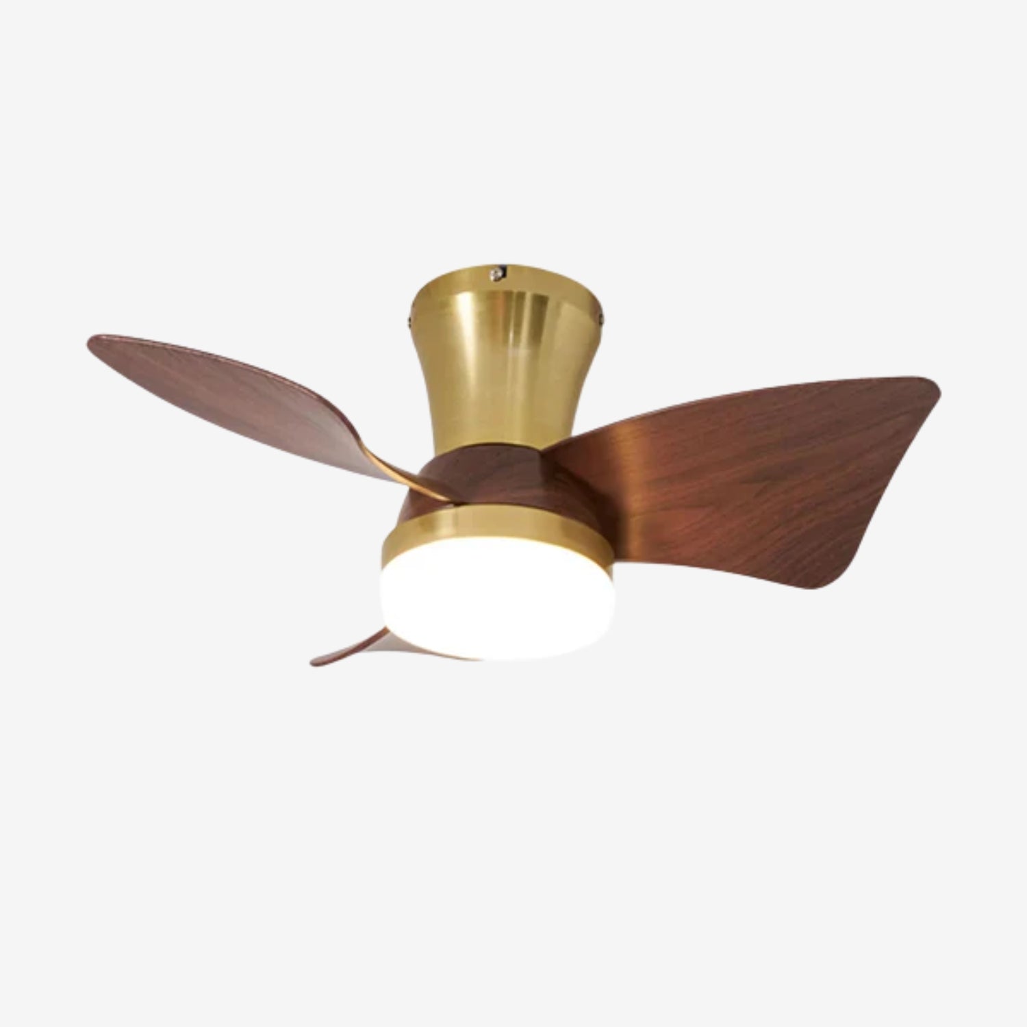 Avoressa Modern Ceiling Fan Light