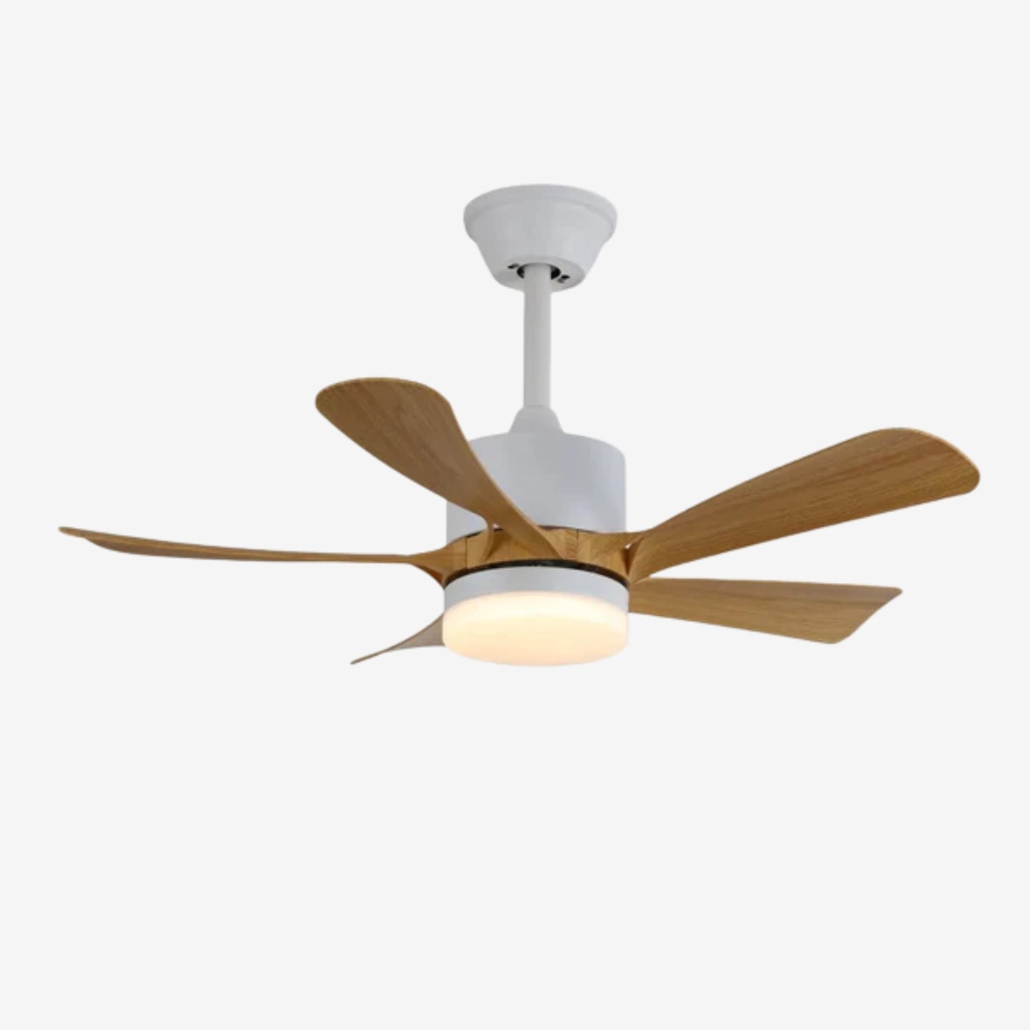 Avonero Ceiling Fan Light
