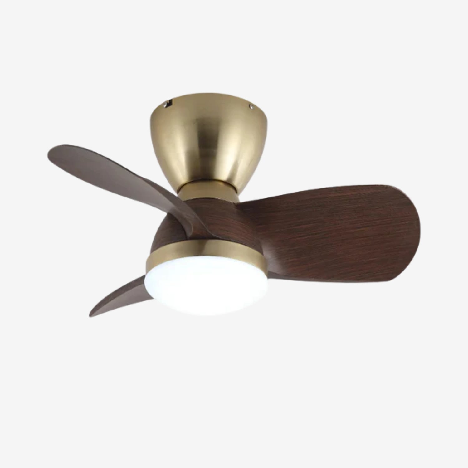 Forelso Ceiling Fan Light