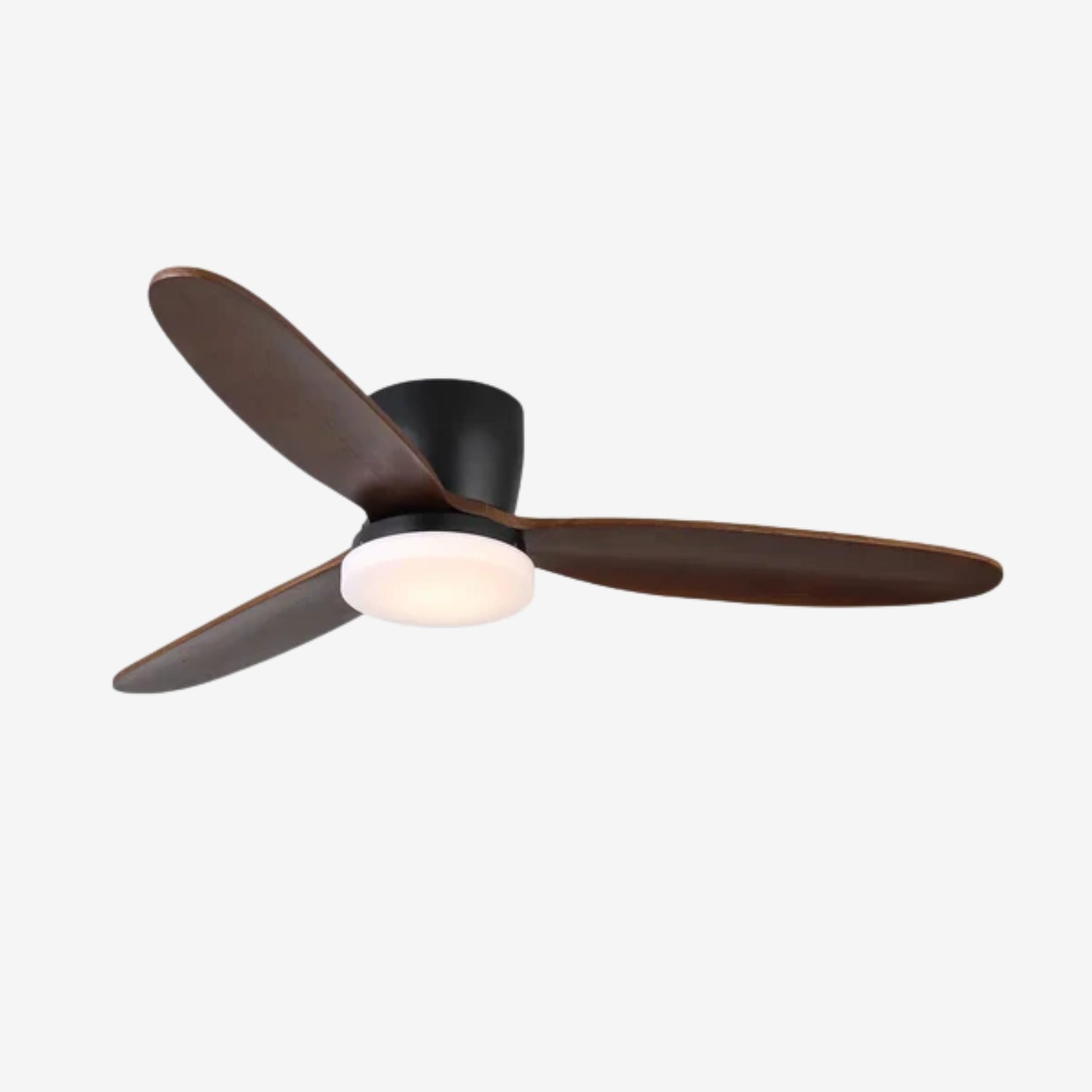 Norea Ceiling Fan Light