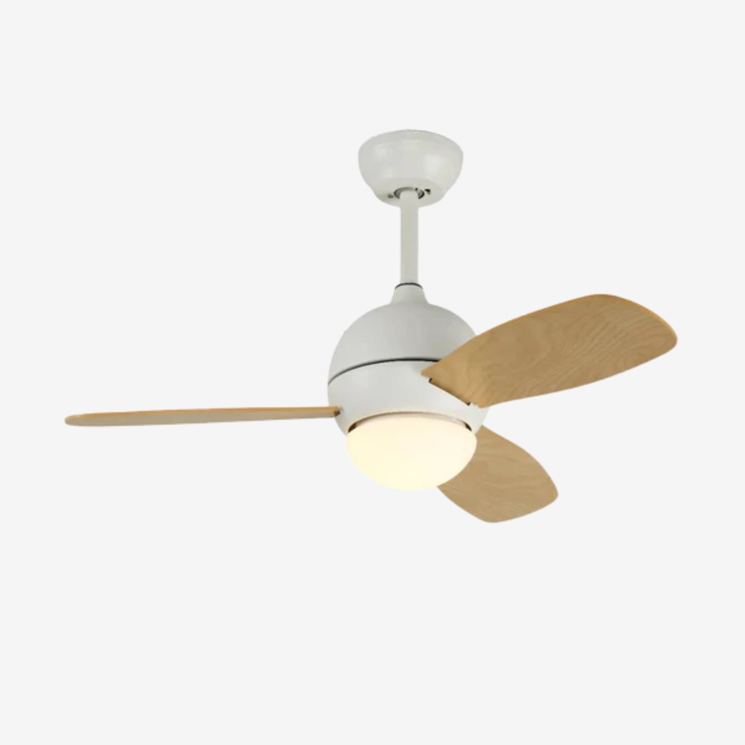Avelyn Ceiling Fan Light