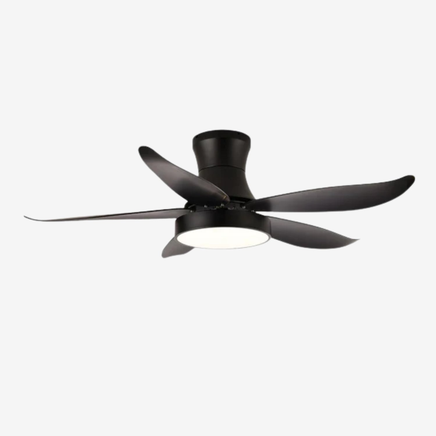 Rozin Modern Ceiling Fan Light