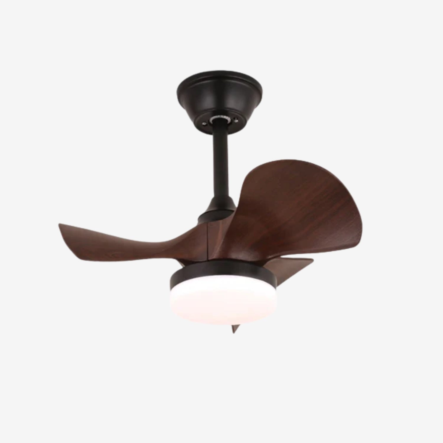 Baanea Ceiling Fan Light