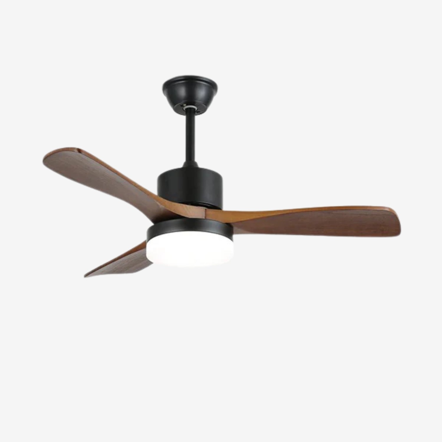 Loreeno Ceiling Fan Light