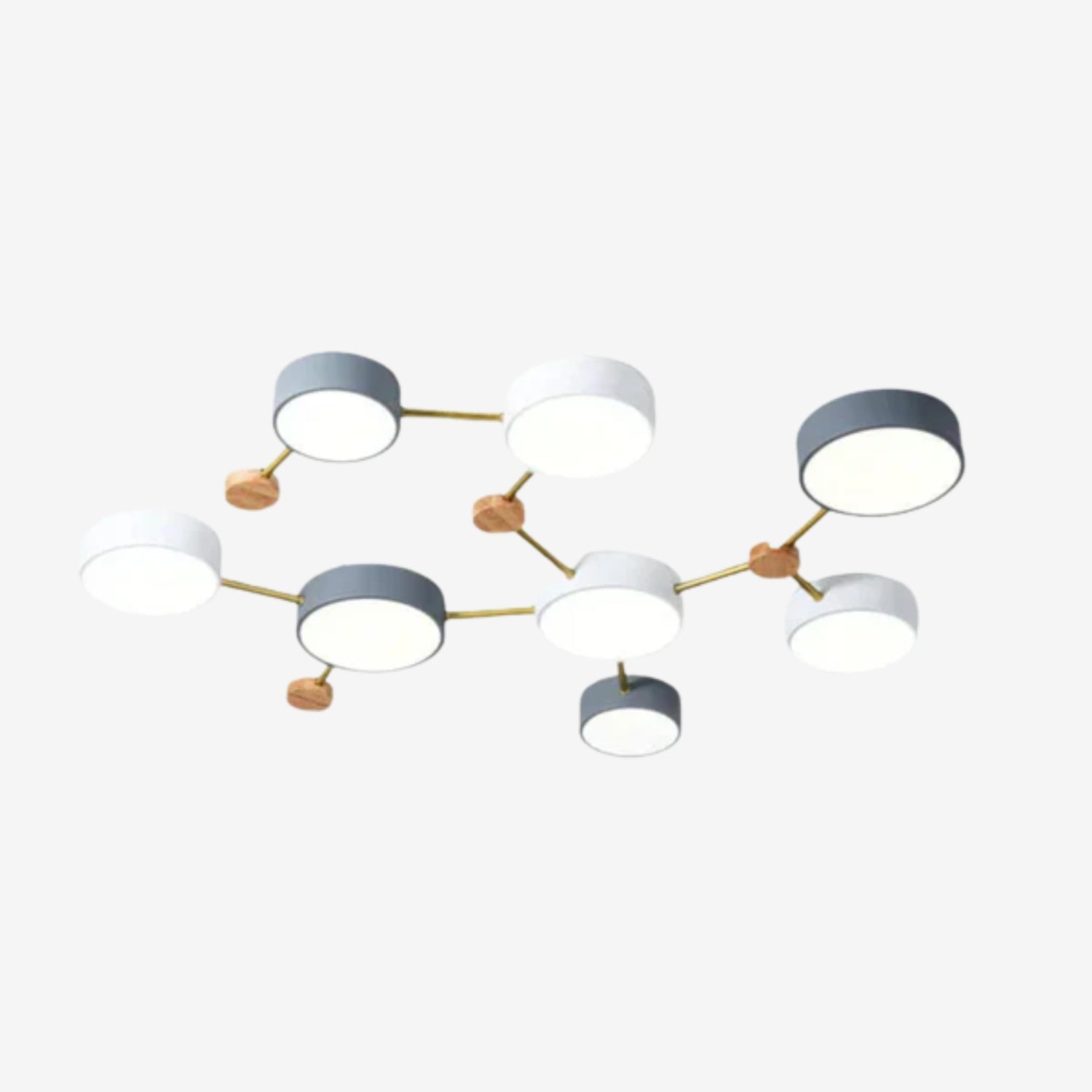 Leboza Minimalist Ceiling Light