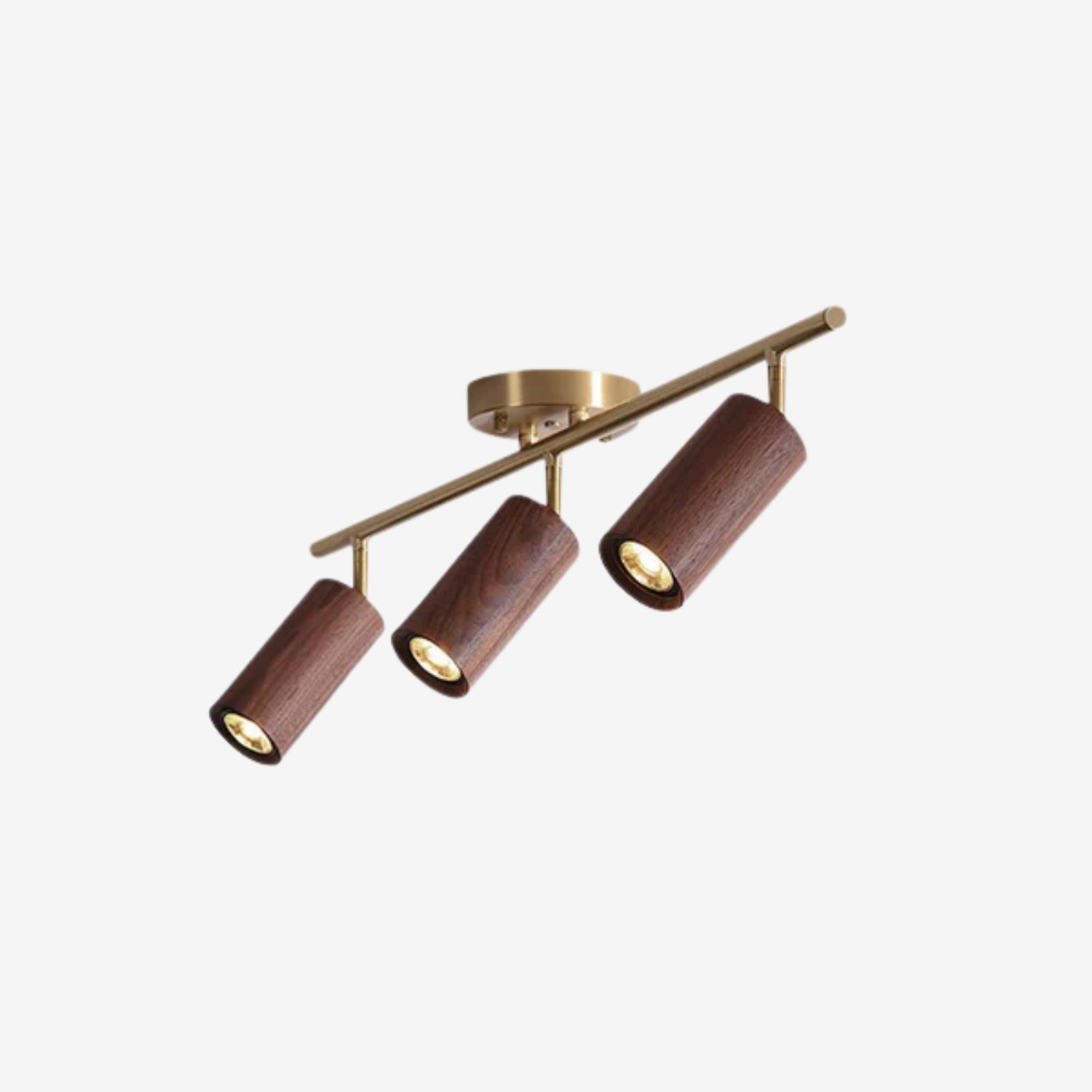 Ganavo Track Ceiling Light