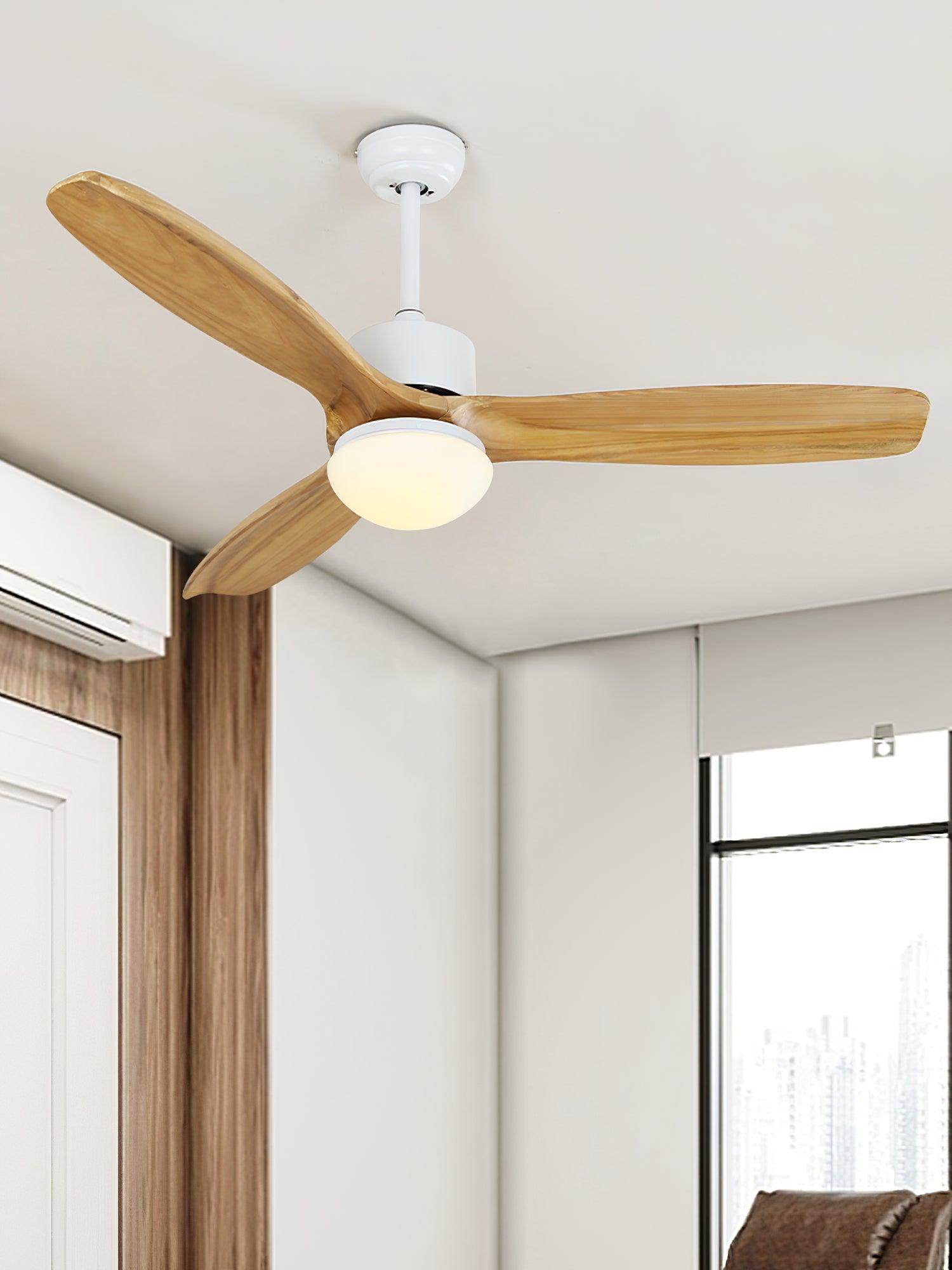 Avolano Outdoor Ceiling Fan Light