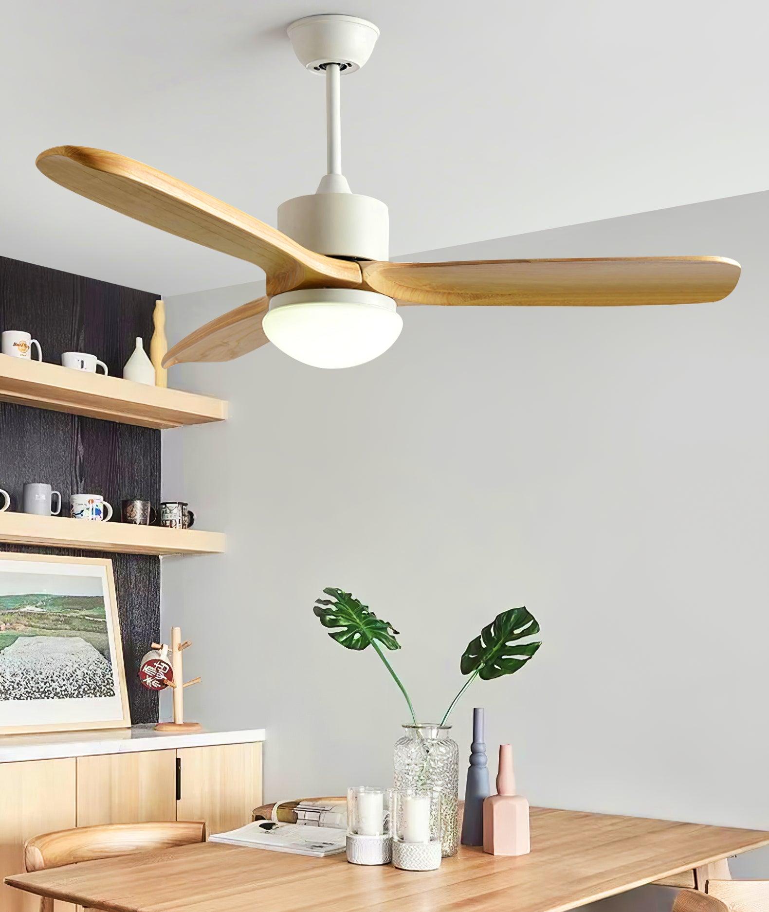 Avolano Outdoor Ceiling Fan Light