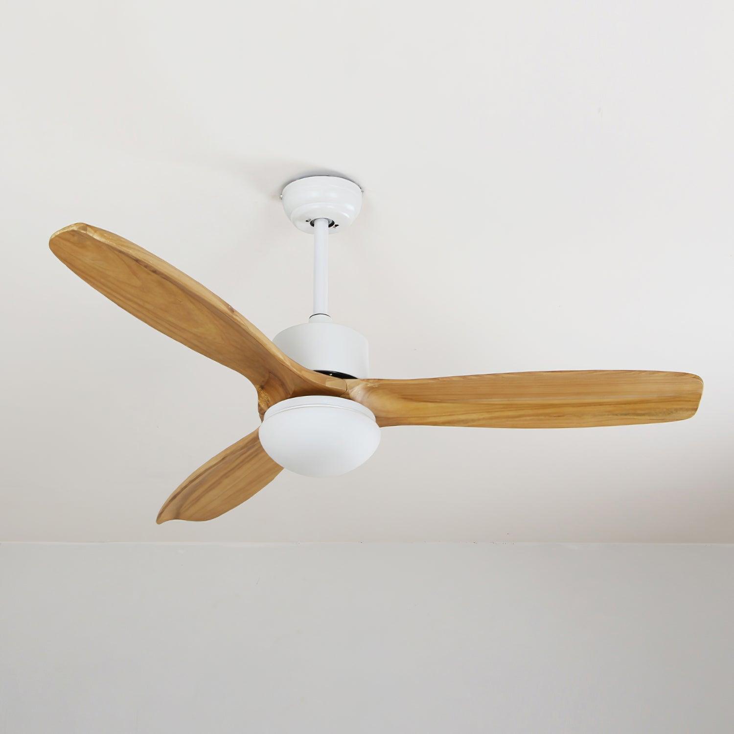 Avolano Outdoor Ceiling Fan Light