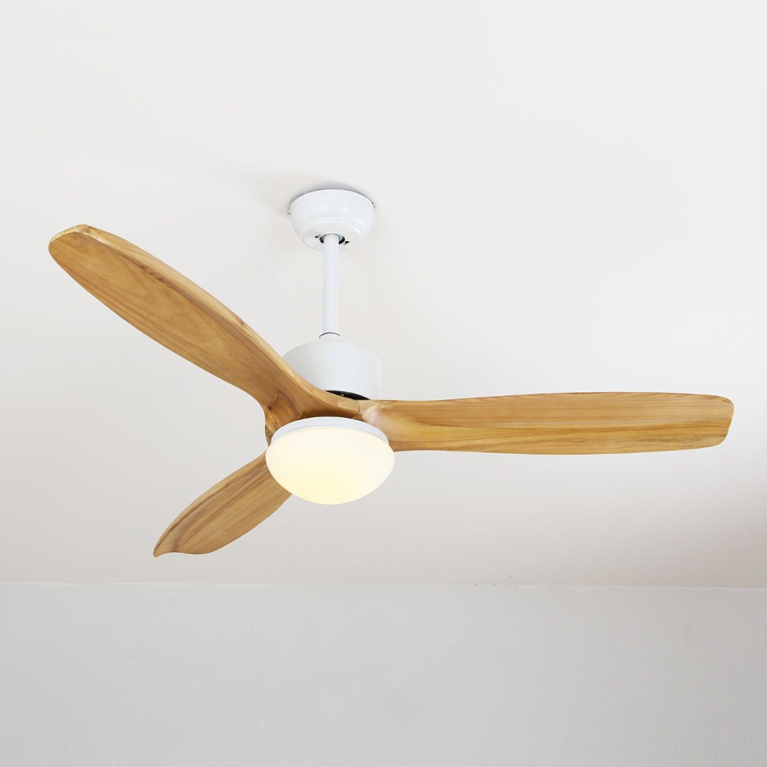 Avolano Outdoor Ceiling Fan Light