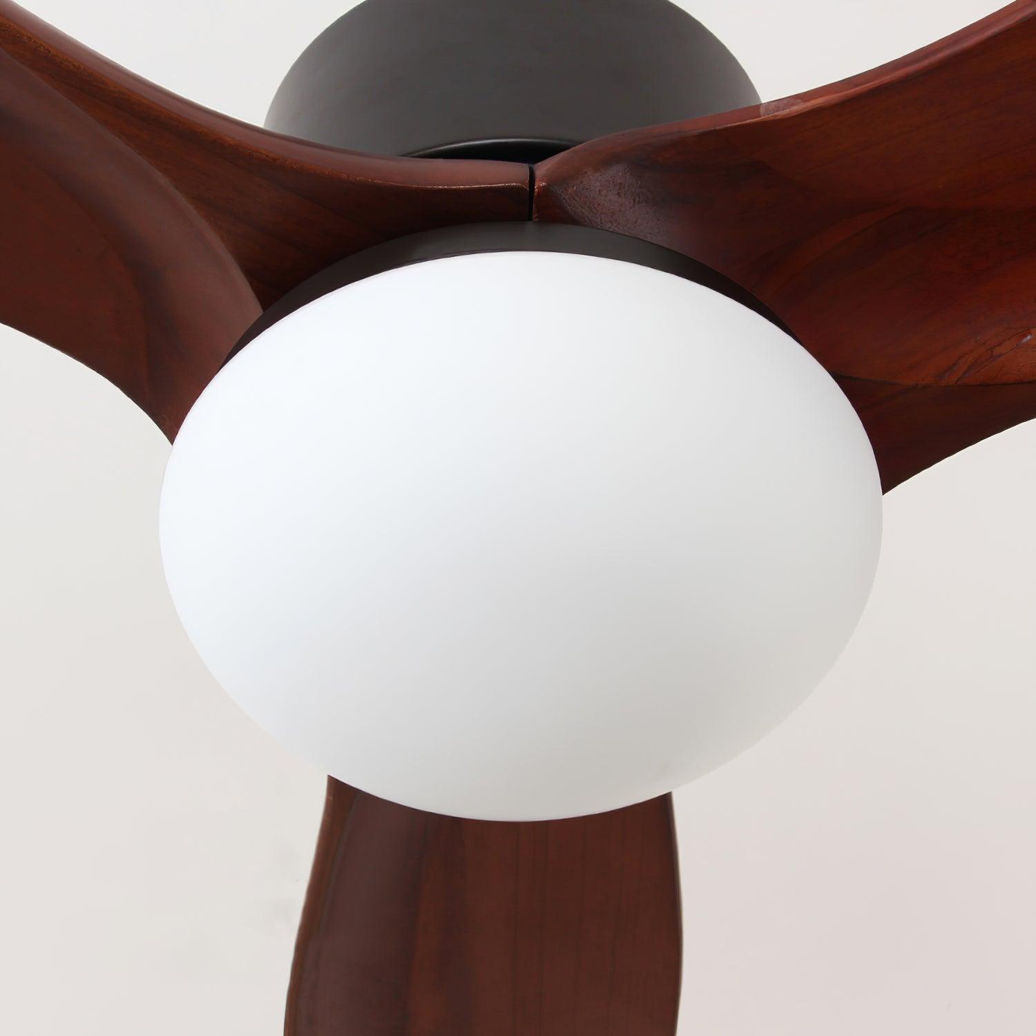 Avolano Outdoor Ceiling Fan Light