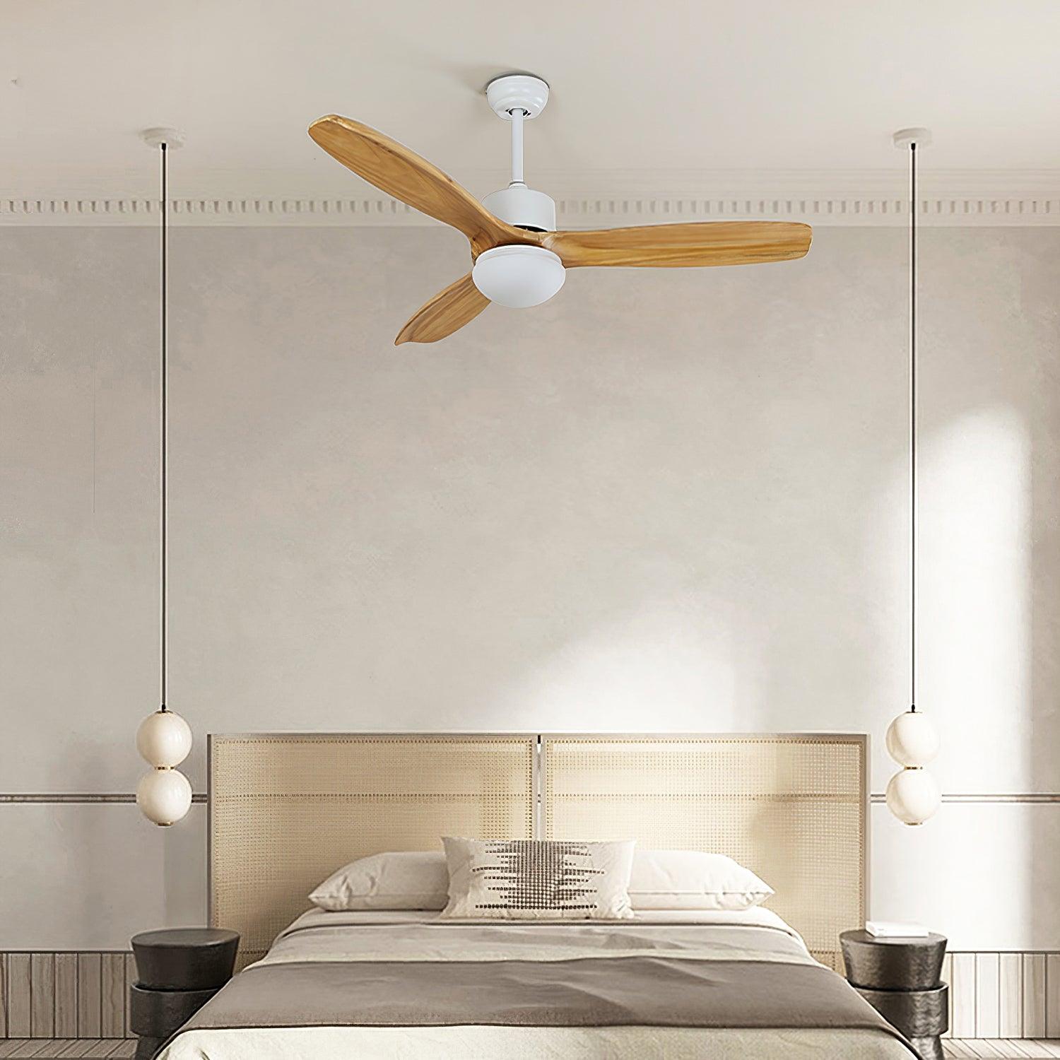 Avolano Outdoor Ceiling Fan Light