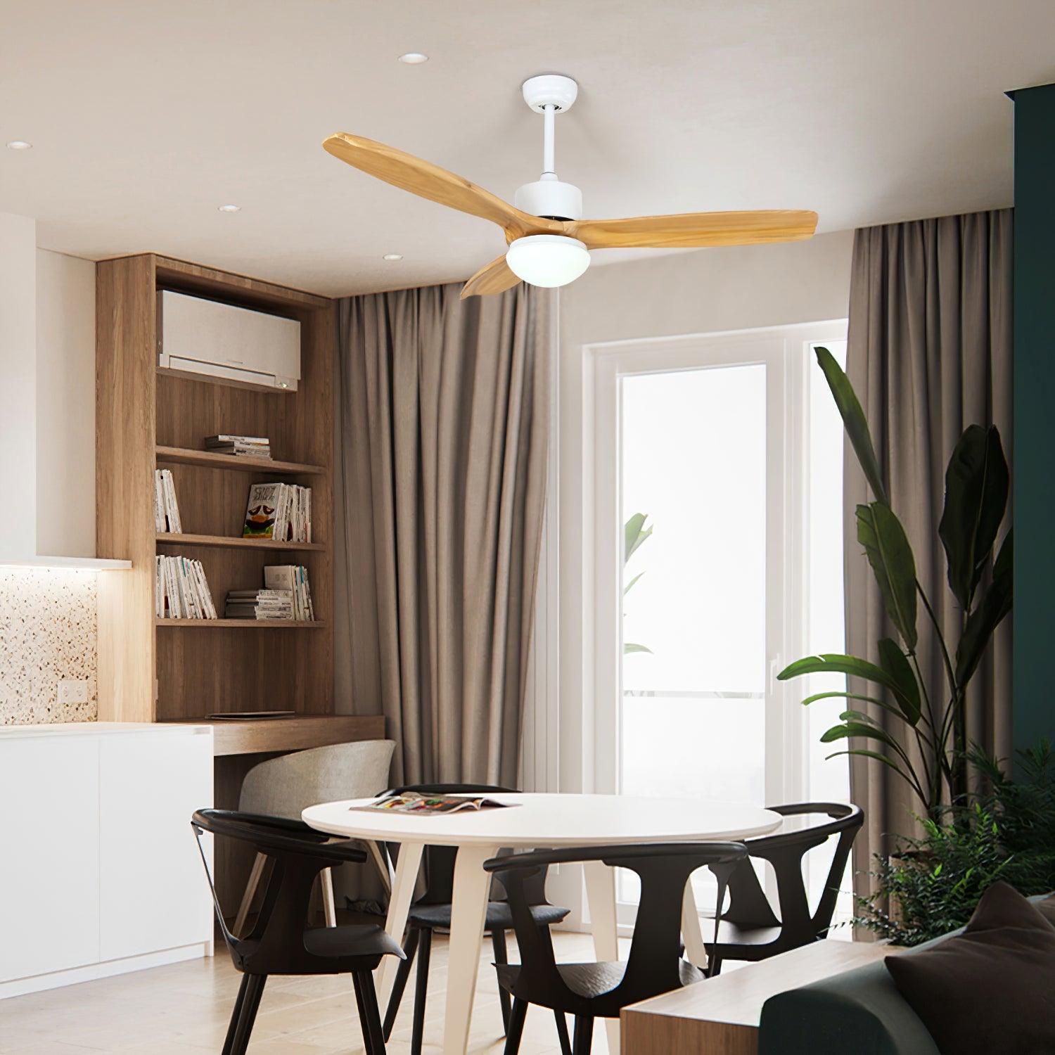 Avolano Outdoor Ceiling Fan Light