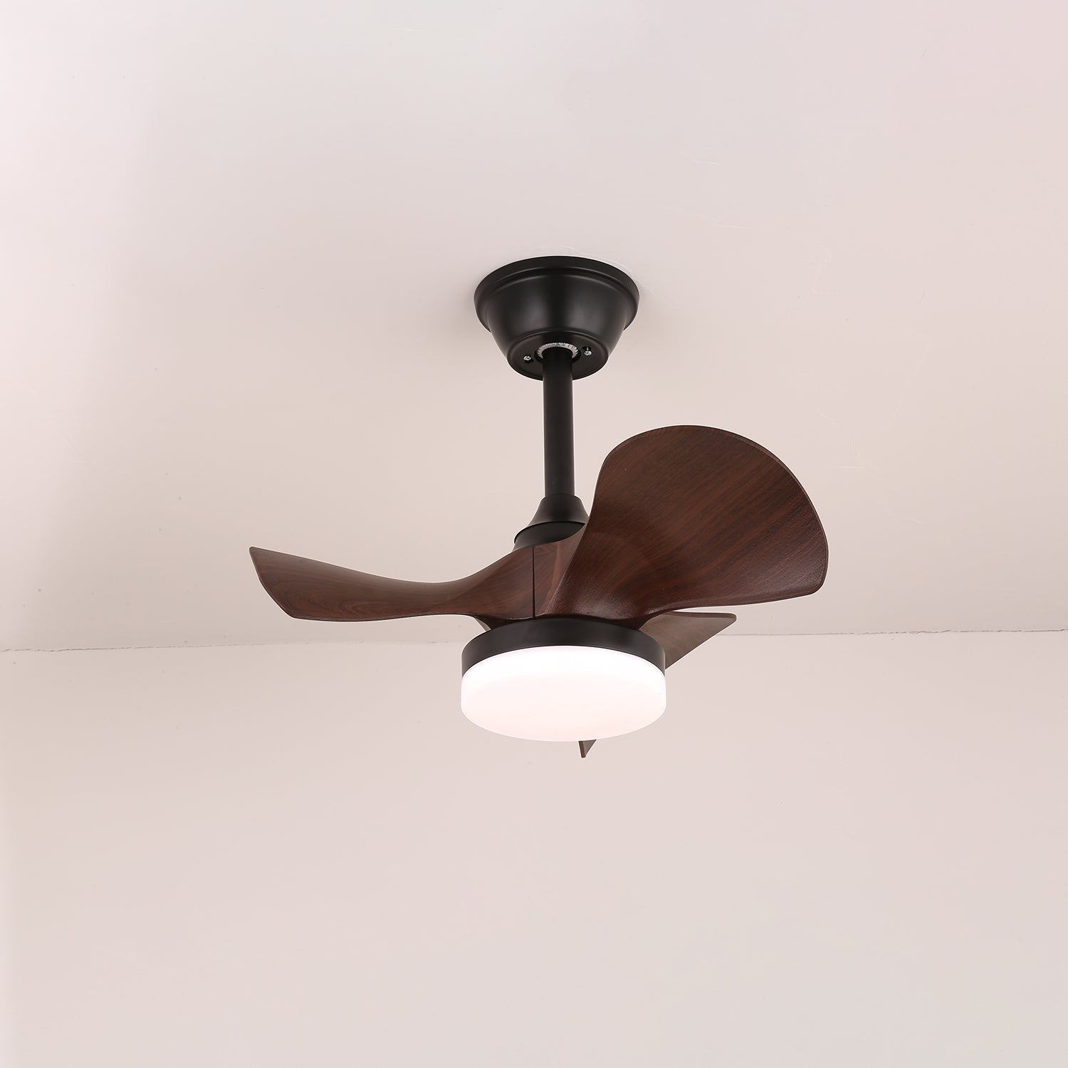 Baanea Ceiling Fan Light