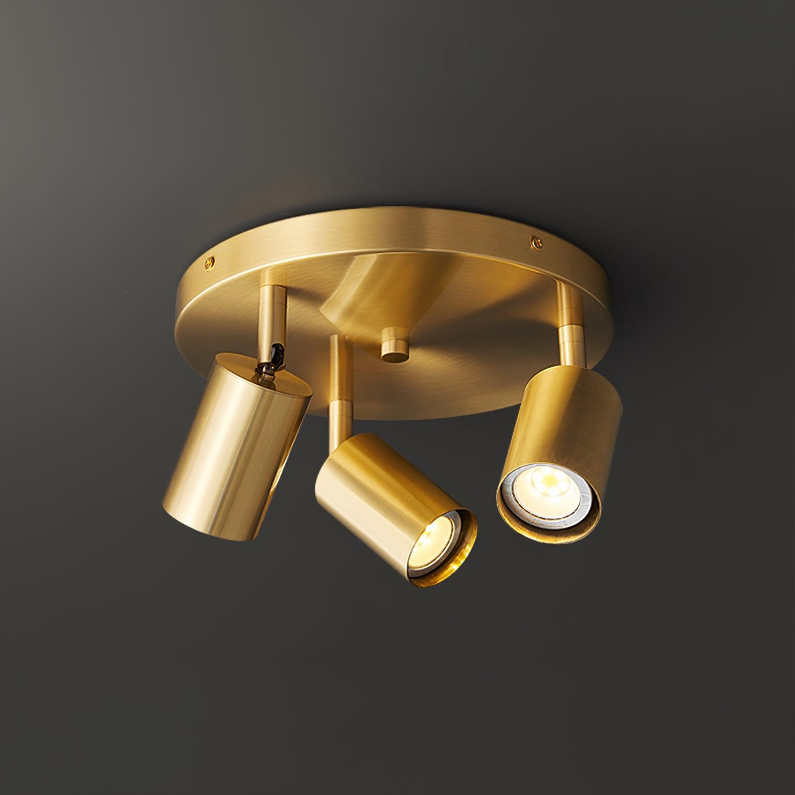 Pedenor Spotlight Ceiling Light