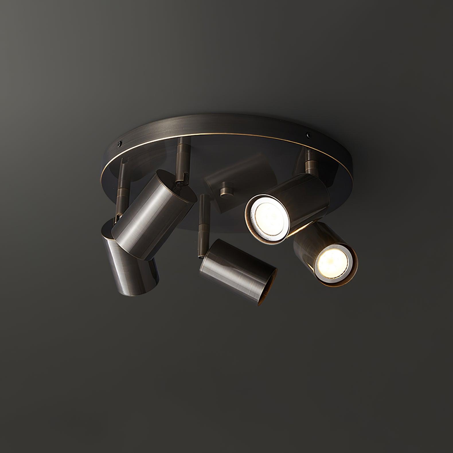 Pedenor Spotlight Ceiling Light