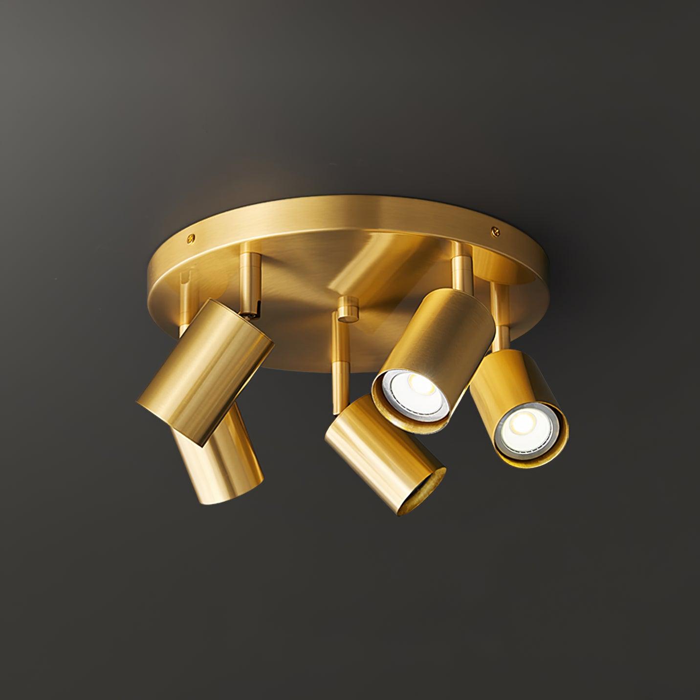Pedenor Spotlight Ceiling Light