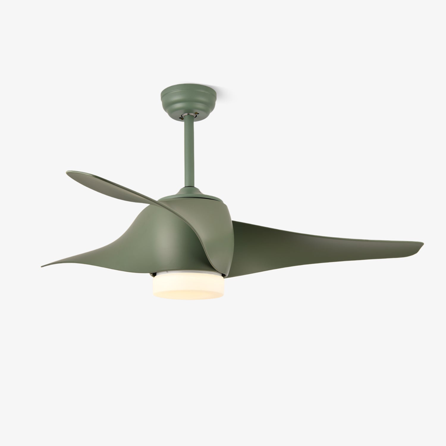 Ziressa Ceiling Fan Light