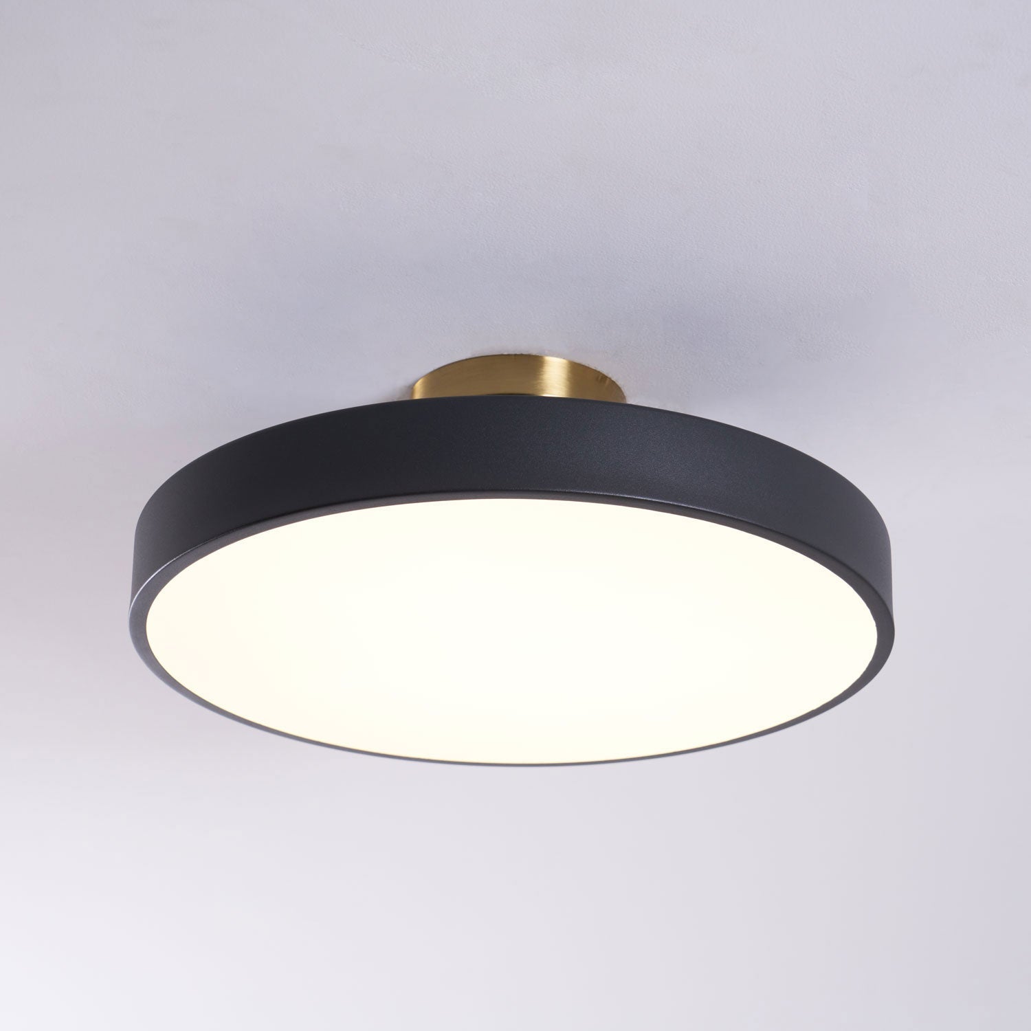 Basonelio Flush Mount Ceiling Light