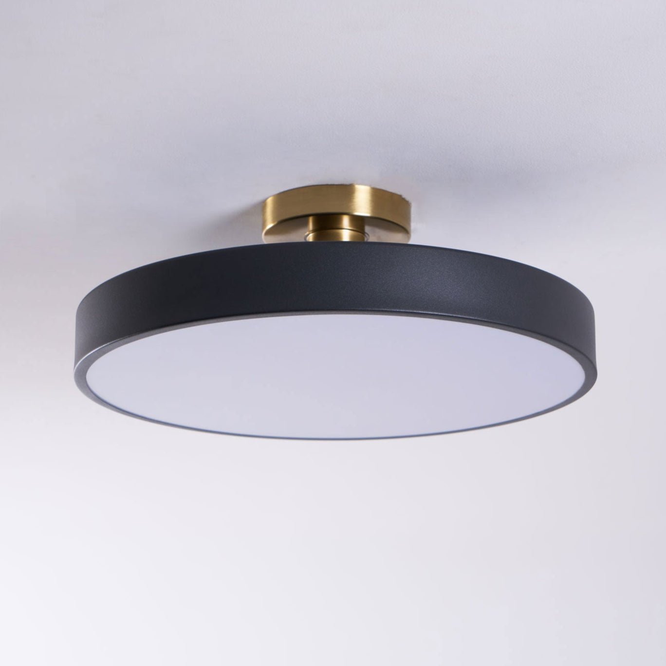 Basonelio Flush Mount Ceiling Light