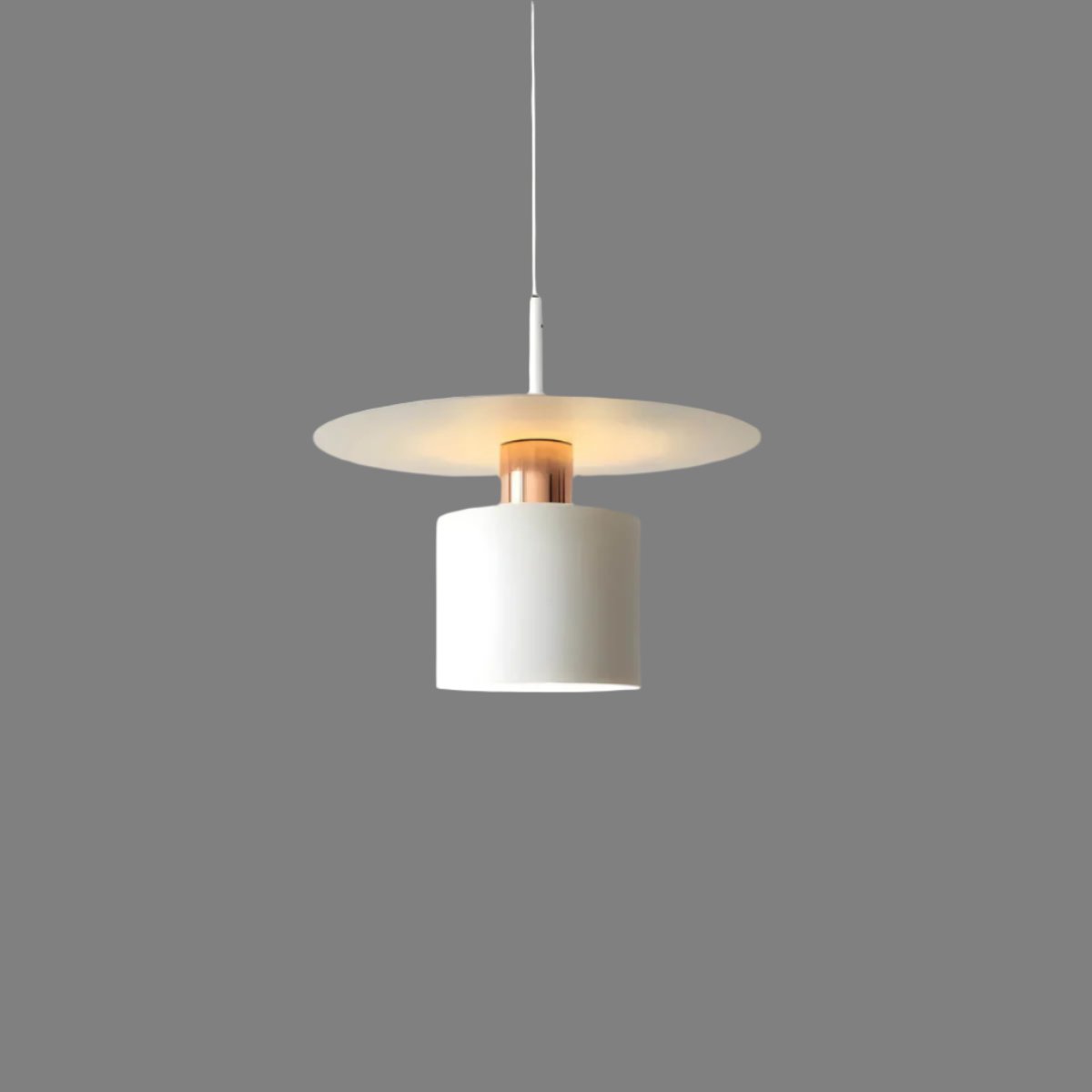 Lesa Disc Pendant Light