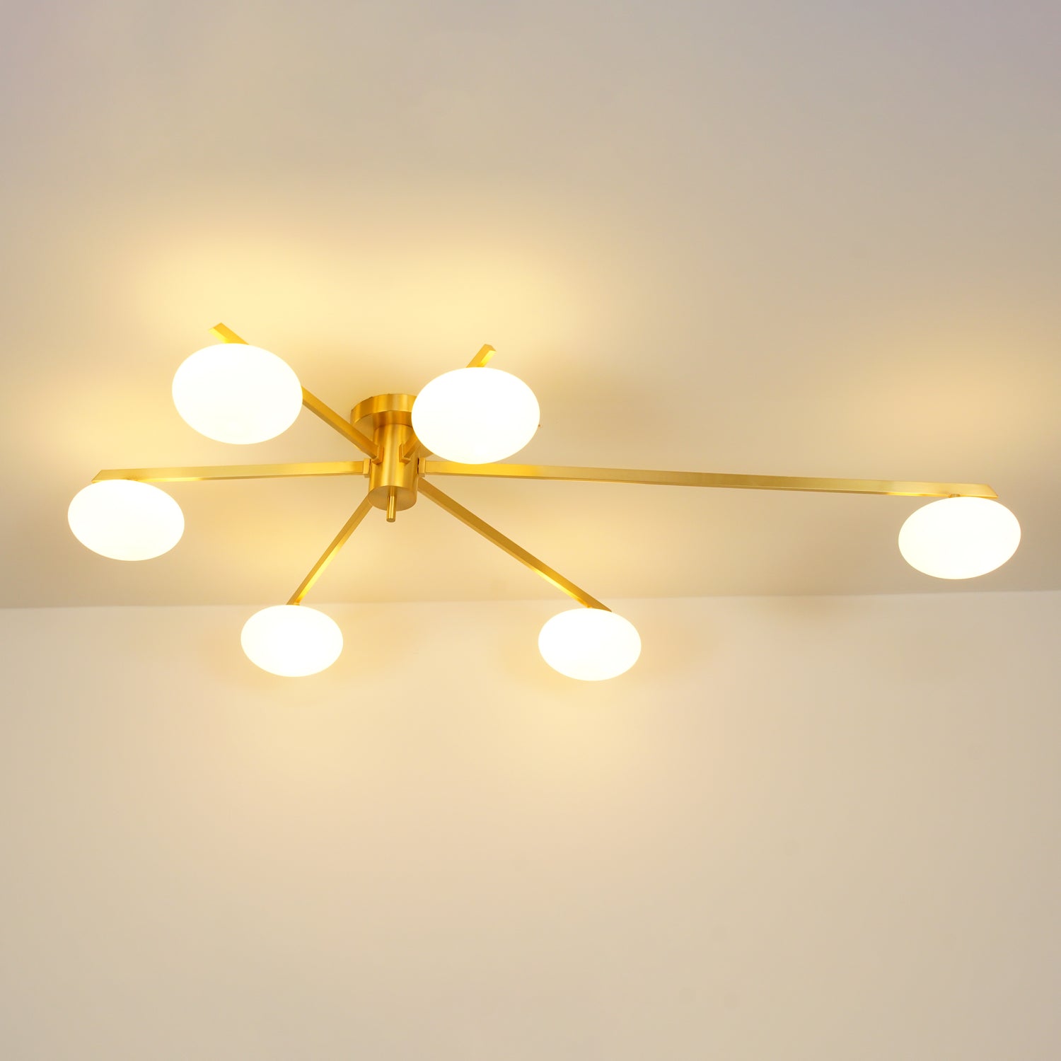 Alonius Modern Ceiling Light