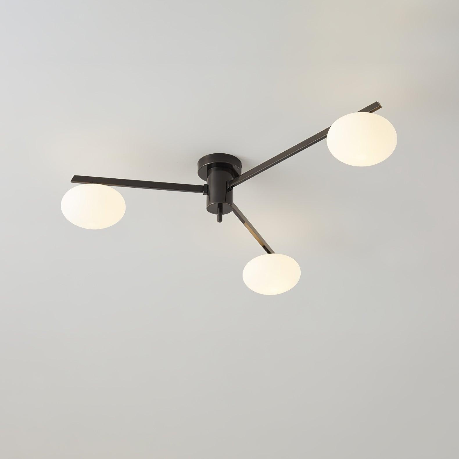 Alonius Modern Ceiling Light