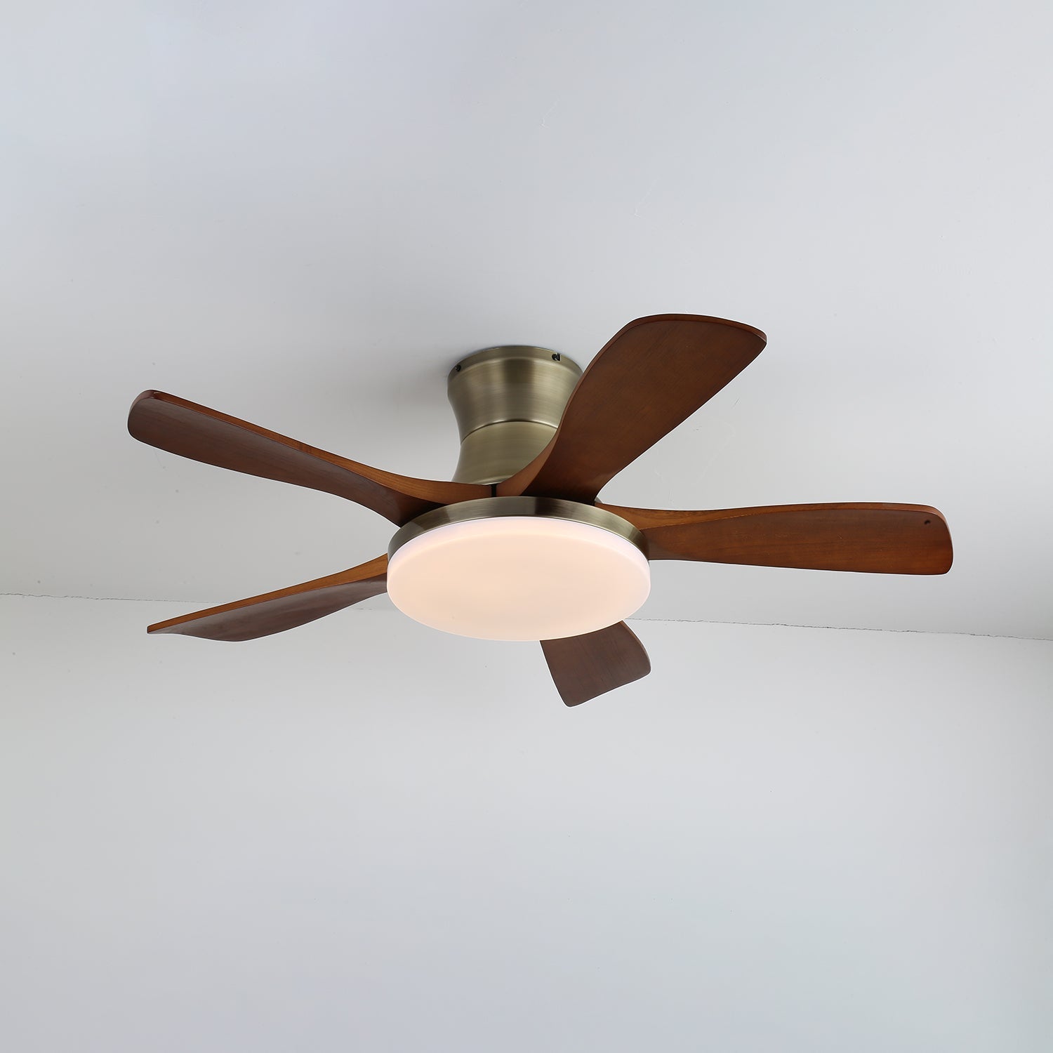 Avonnello Ceiling Fan Light