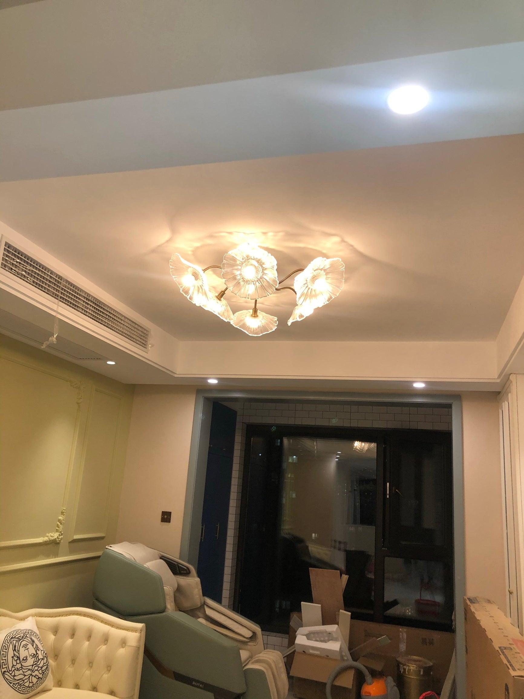 Leirova Lotus Leaf Ceiling Light