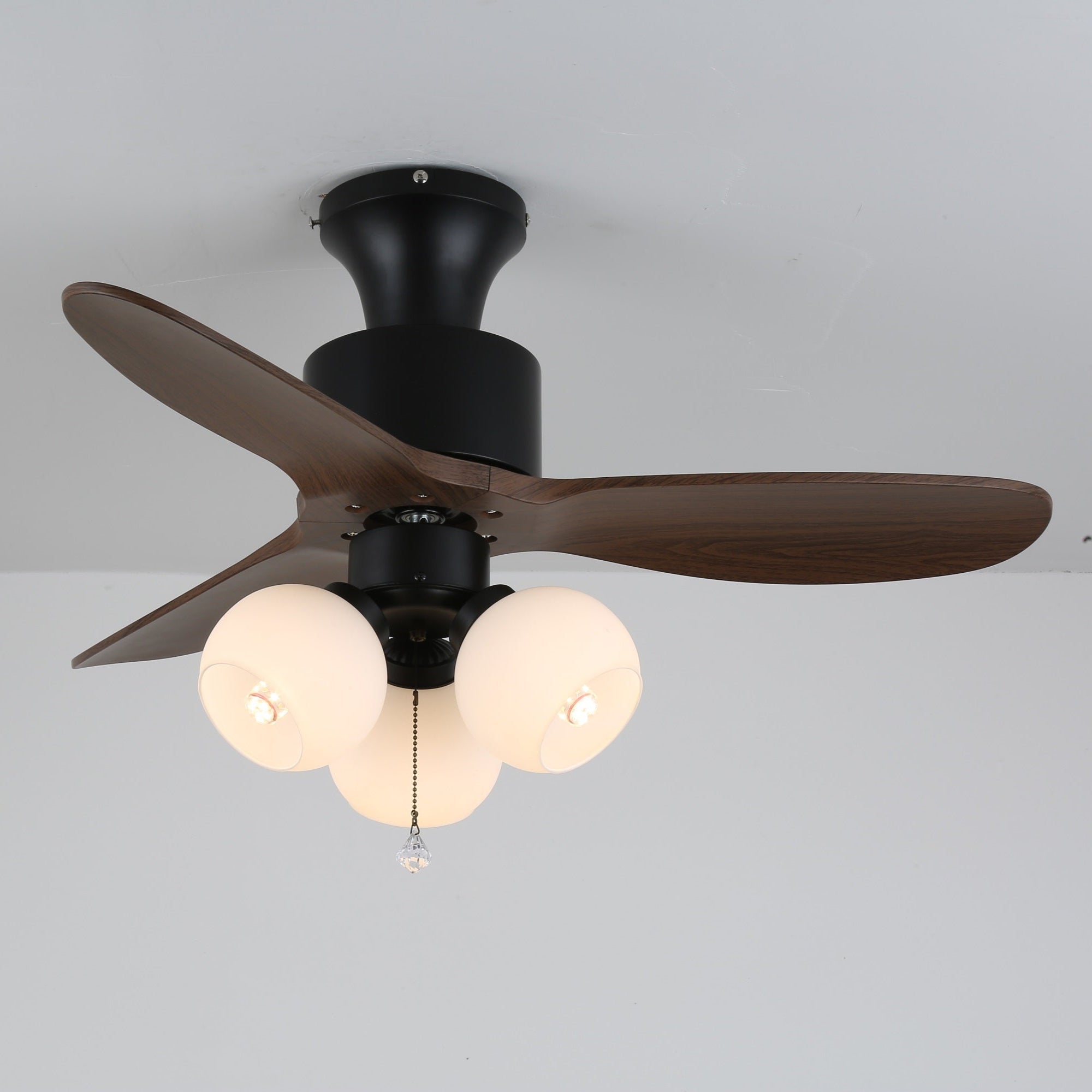 Aralon Globe Ceiling Fan Light
