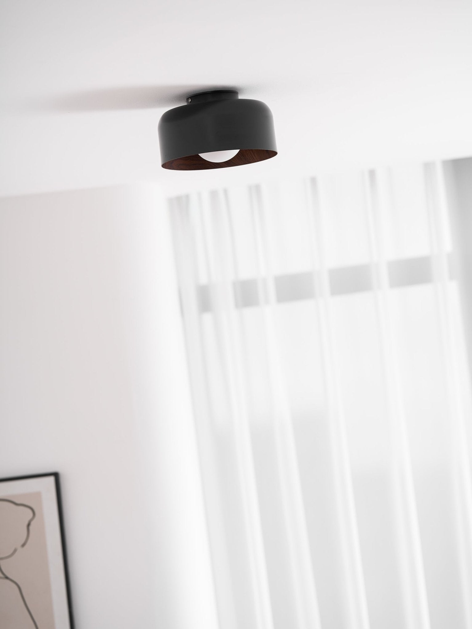 Belrosus Ceiling Light
