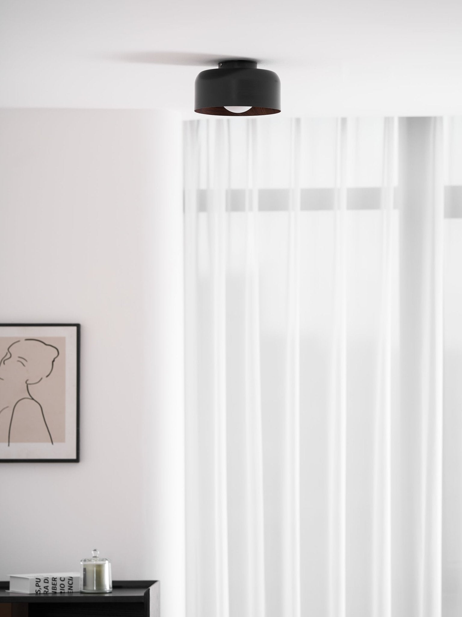 Belrosus Ceiling Light