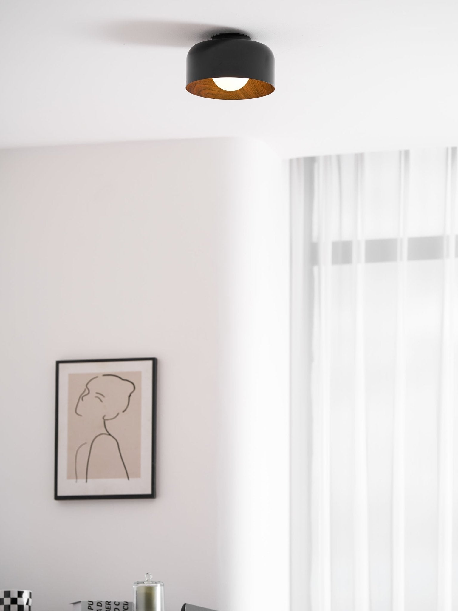 Belrosus Ceiling Light