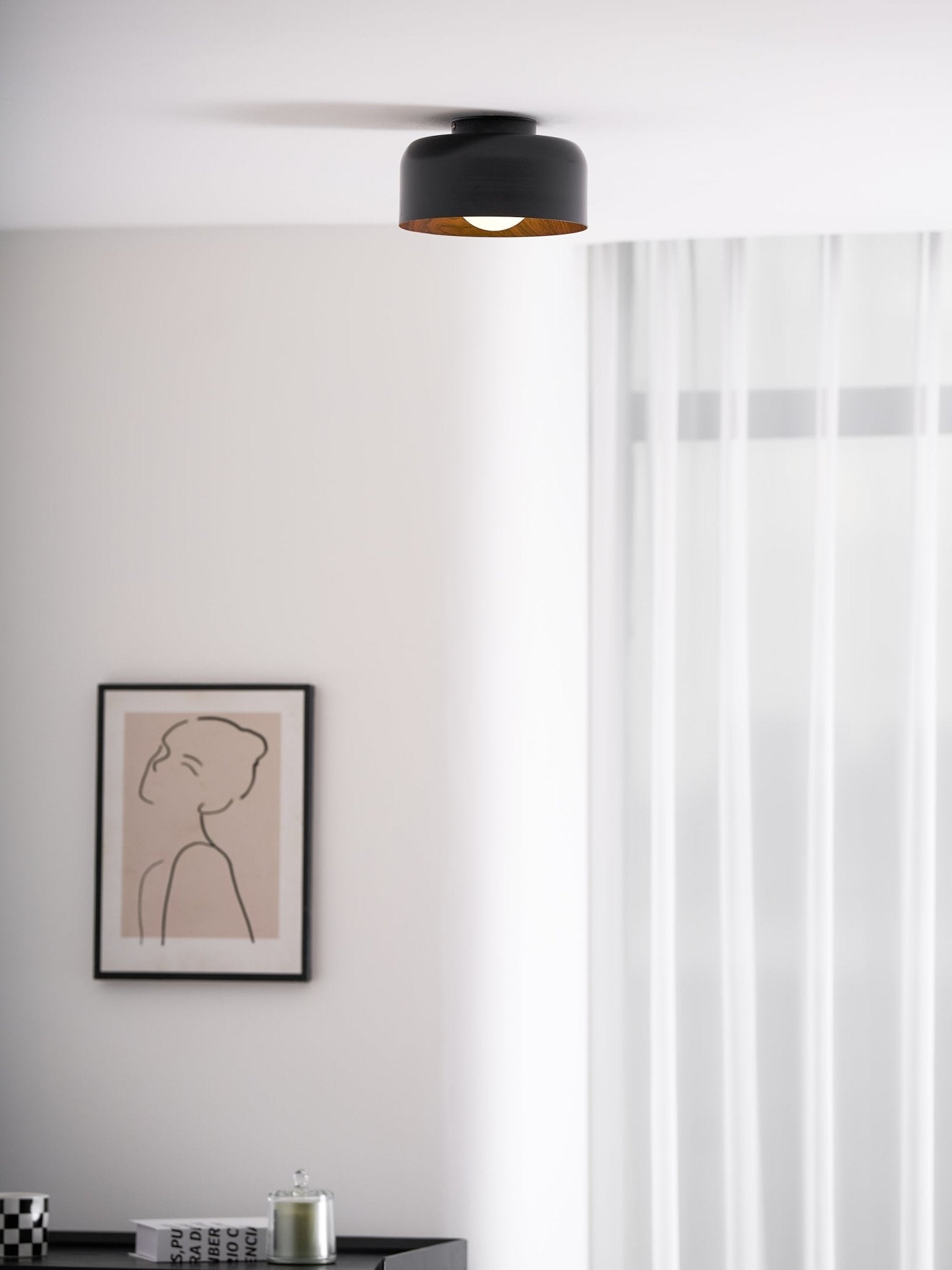 Belrosus Ceiling Light