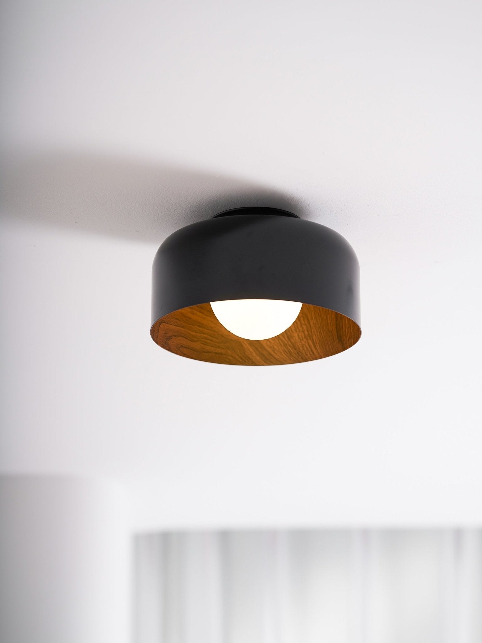 Belrosus Ceiling Light