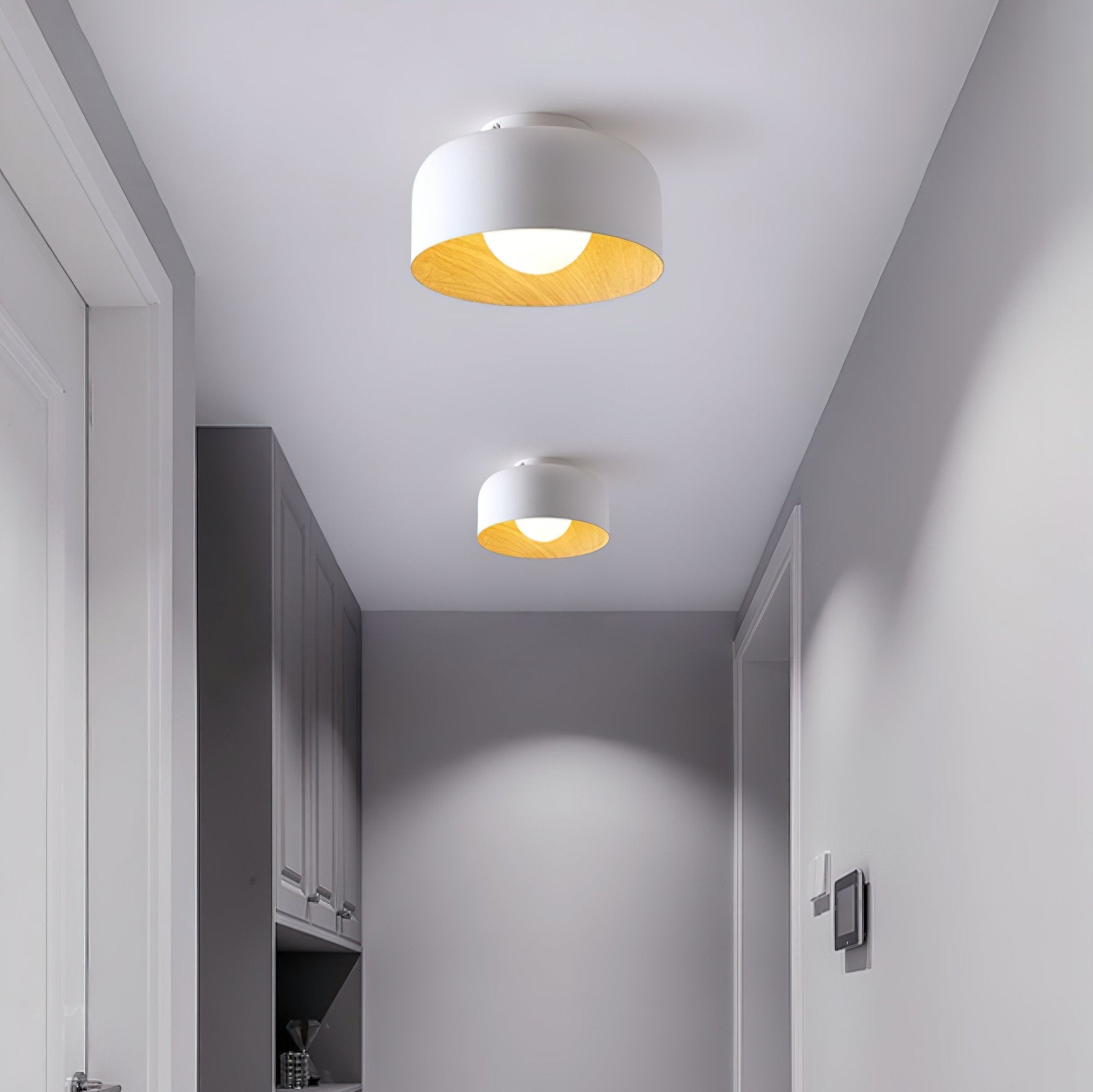 Belrosus Ceiling Light