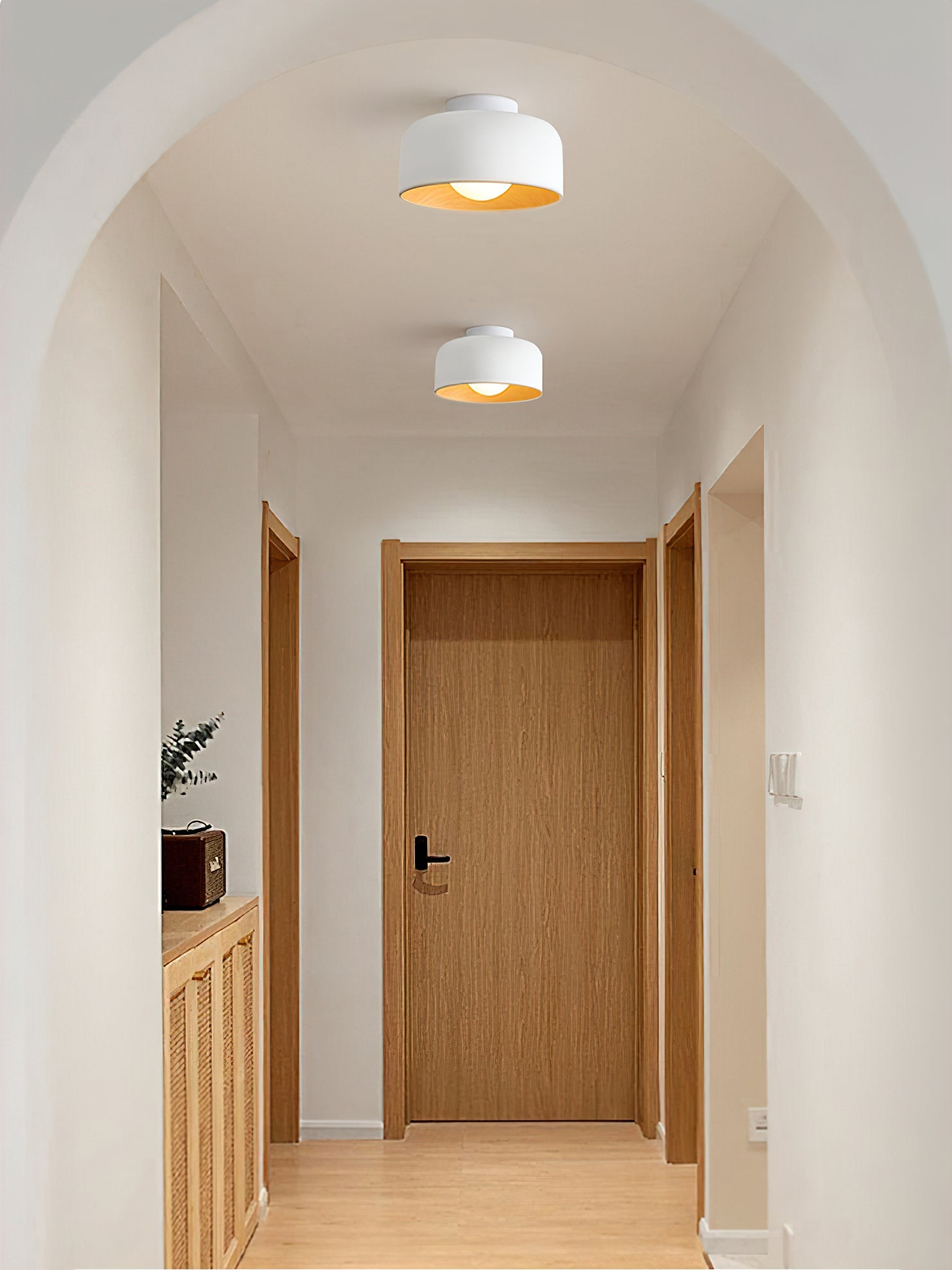 Belrosus Ceiling Light