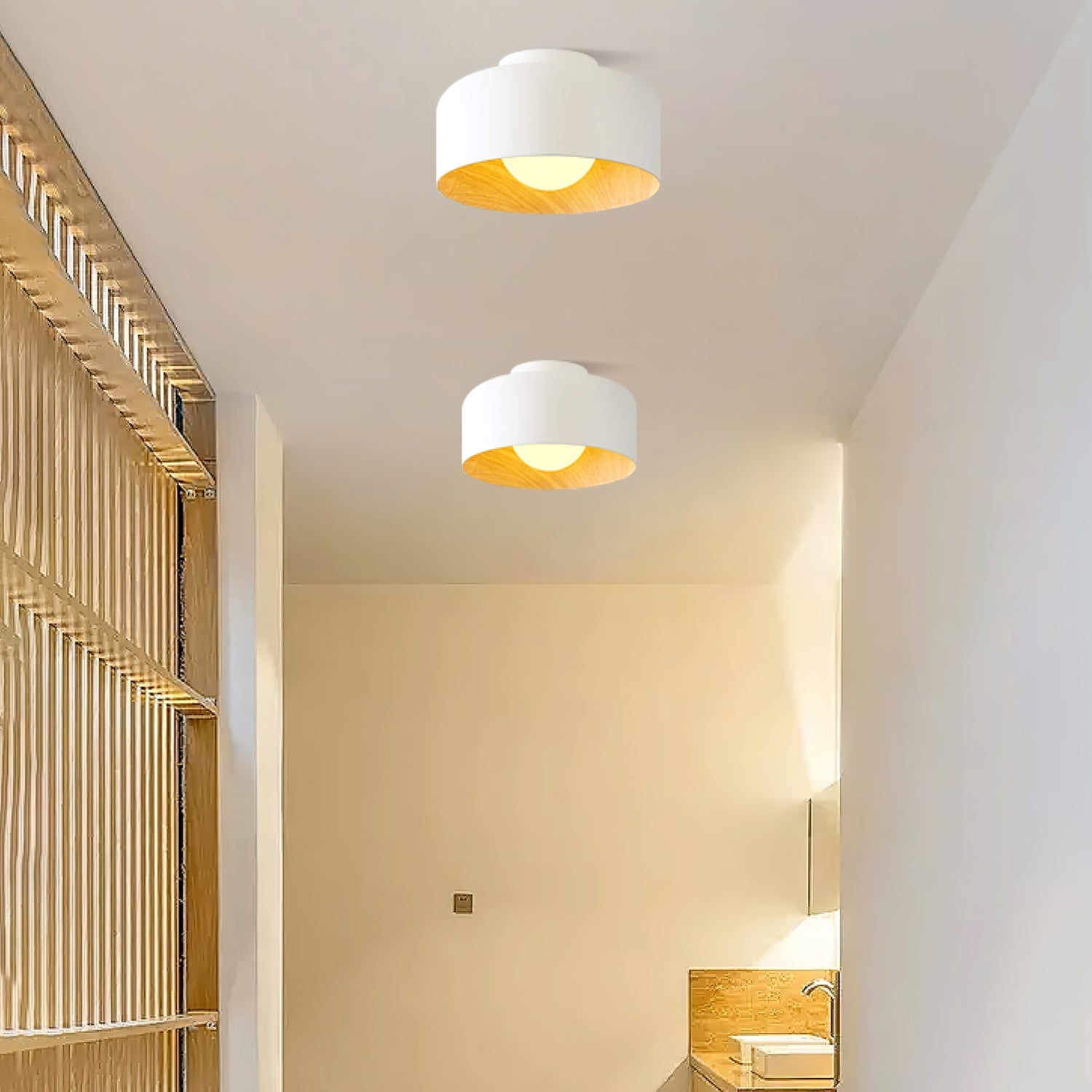 Belrosus Ceiling Light