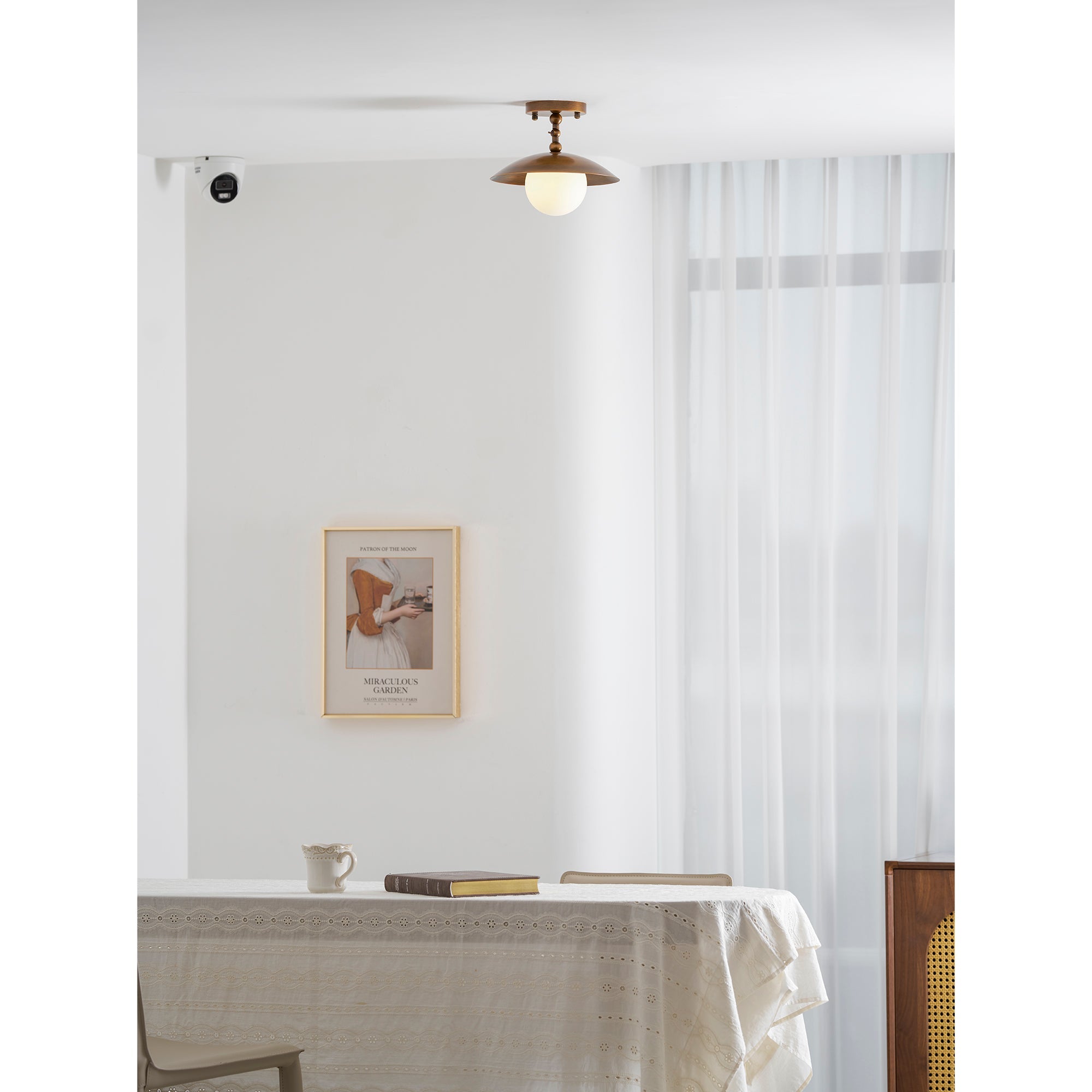 Alunona Globe Ceiling Light