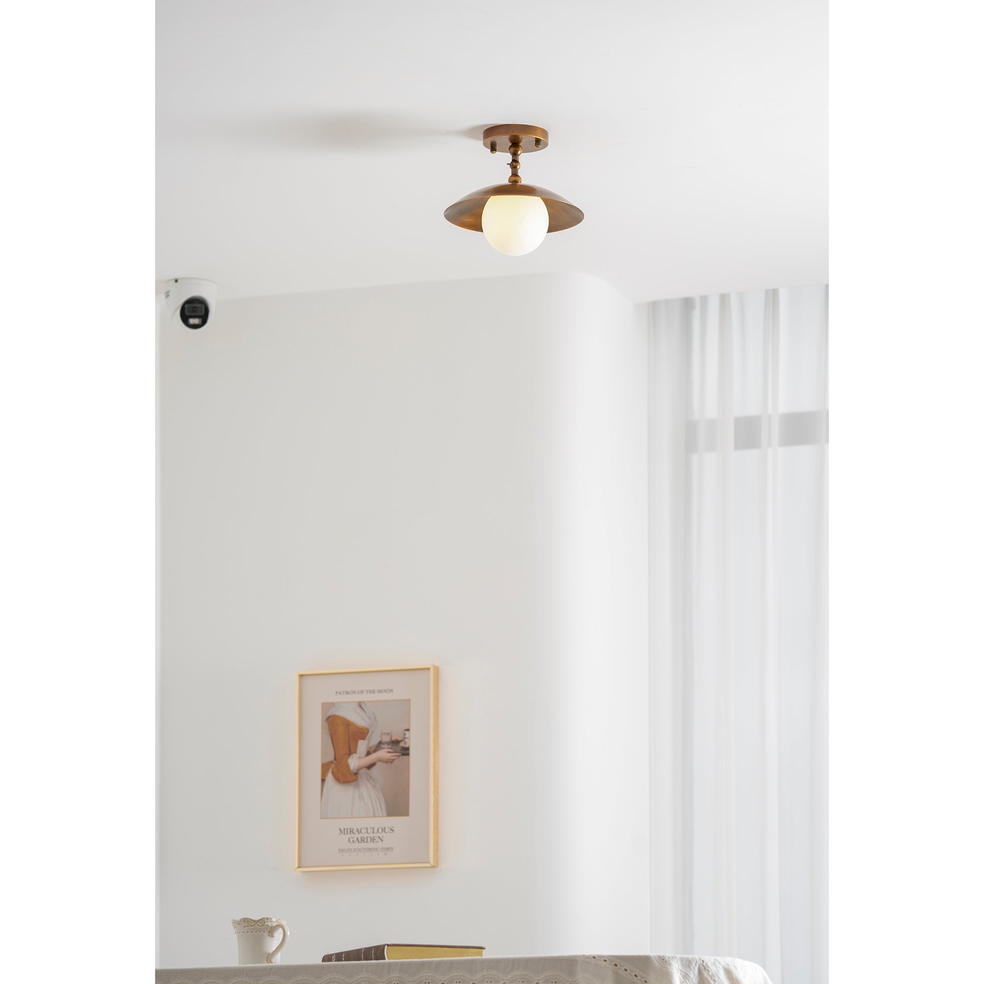 Alunona Globe Ceiling Light